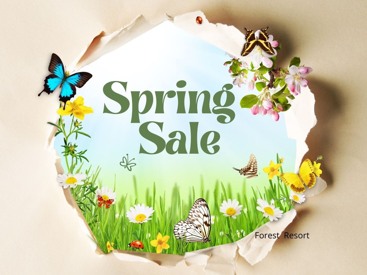 �X�v�����O�Z�[���I