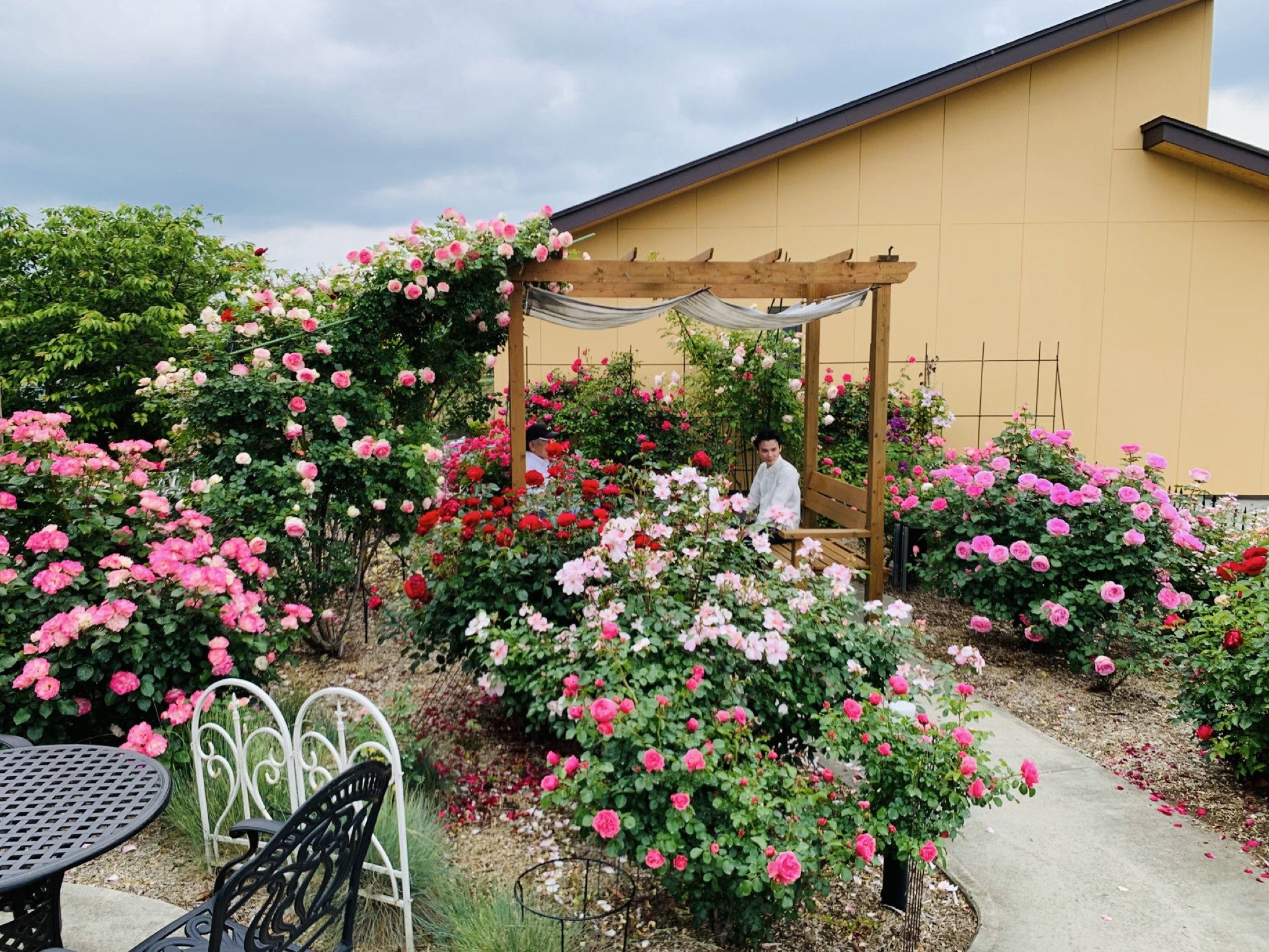 6���ɖ��J�ƂȂ閲�x�m�̃o����