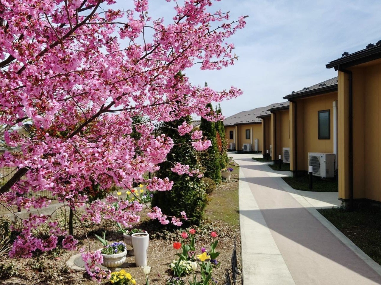 �����ɂ͍��Ȃǎl�G�̉�