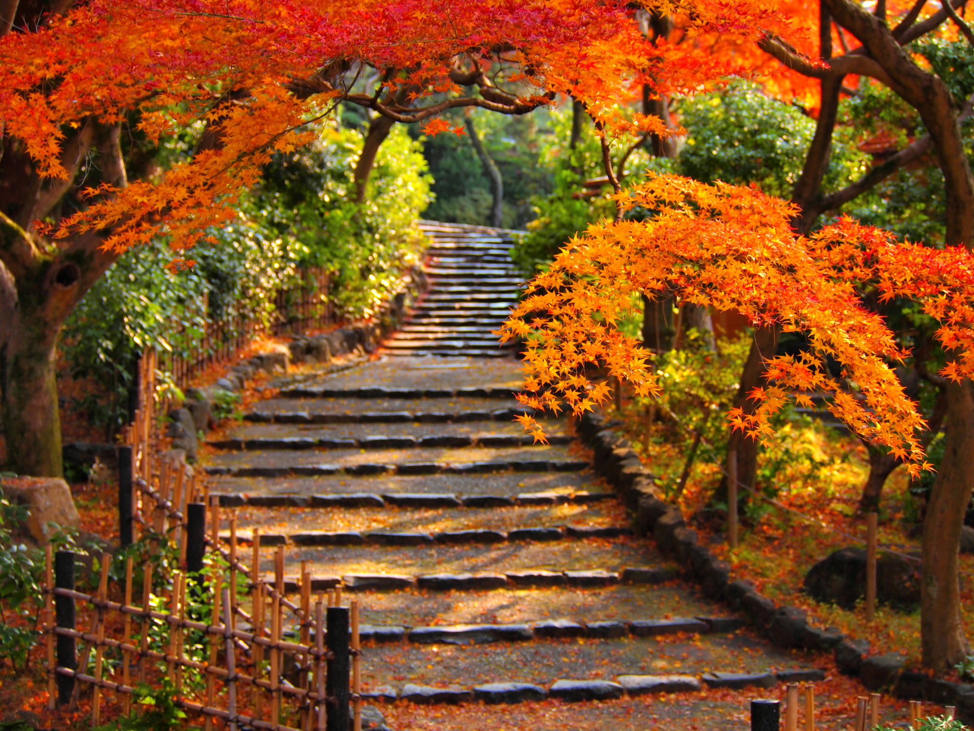 �~�R�����̍g�t�C���[�W�i�{�݂���d�ԂŖ�20���j