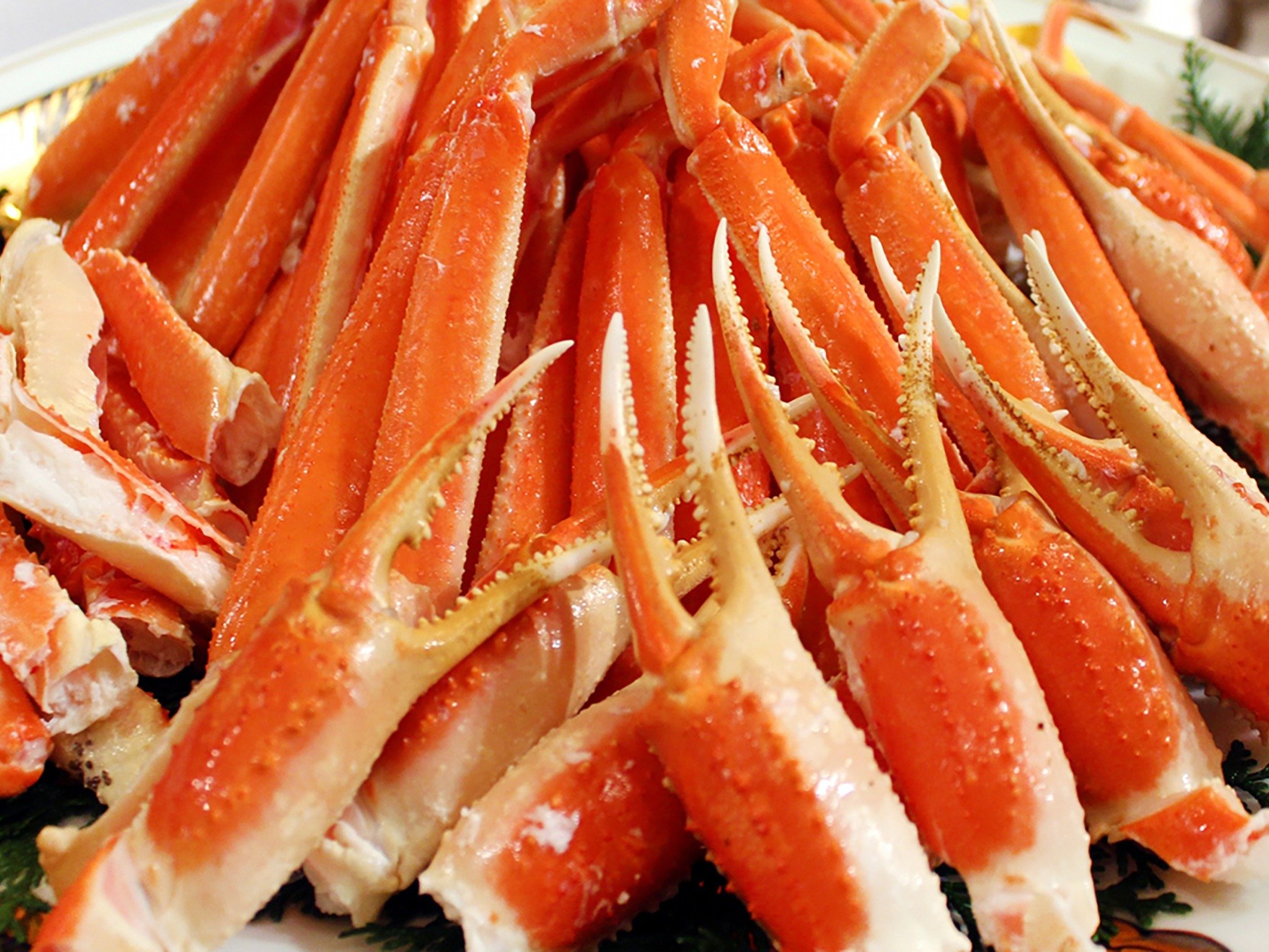 �y���Ԍ���z�{�Y���C�K�j�H�ו���I���ʐ^�̓C���[�W