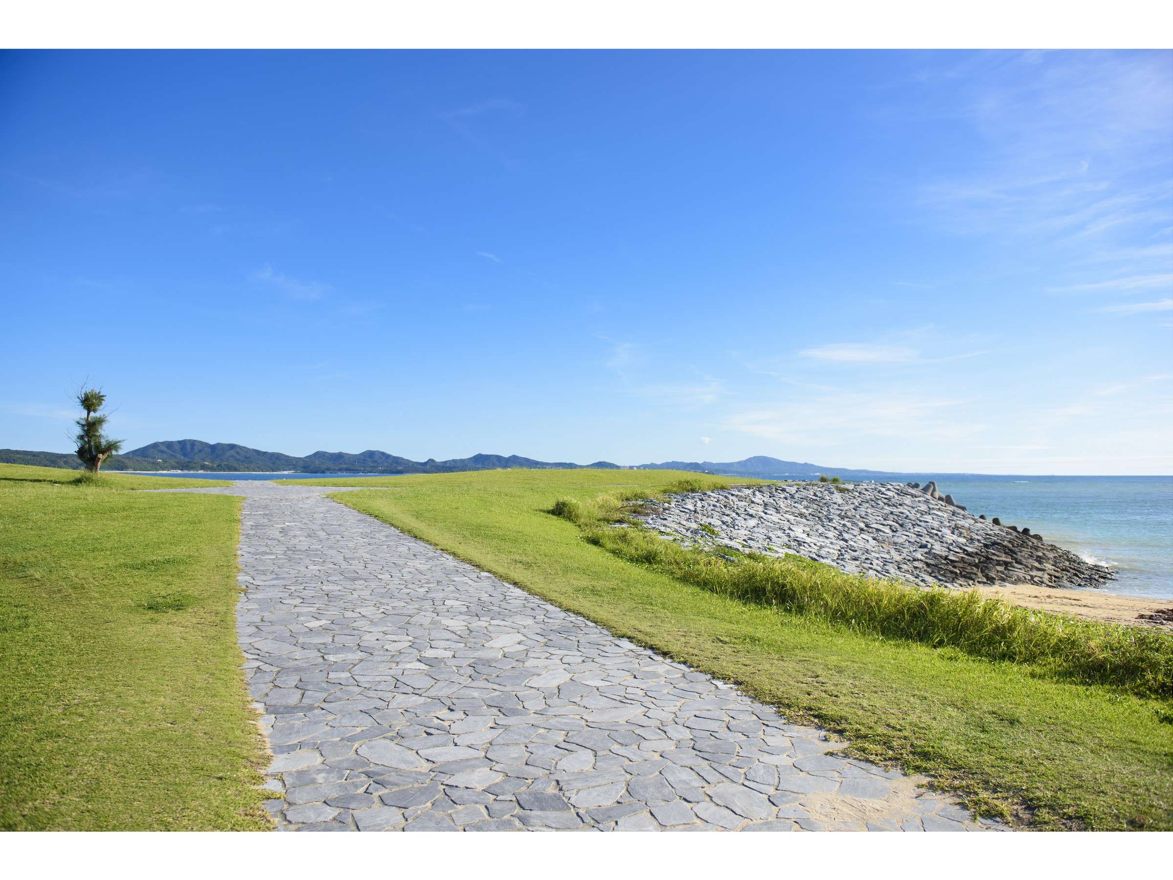 21���I�̐X�r�[�`���Ӂi�z�e�������5���j