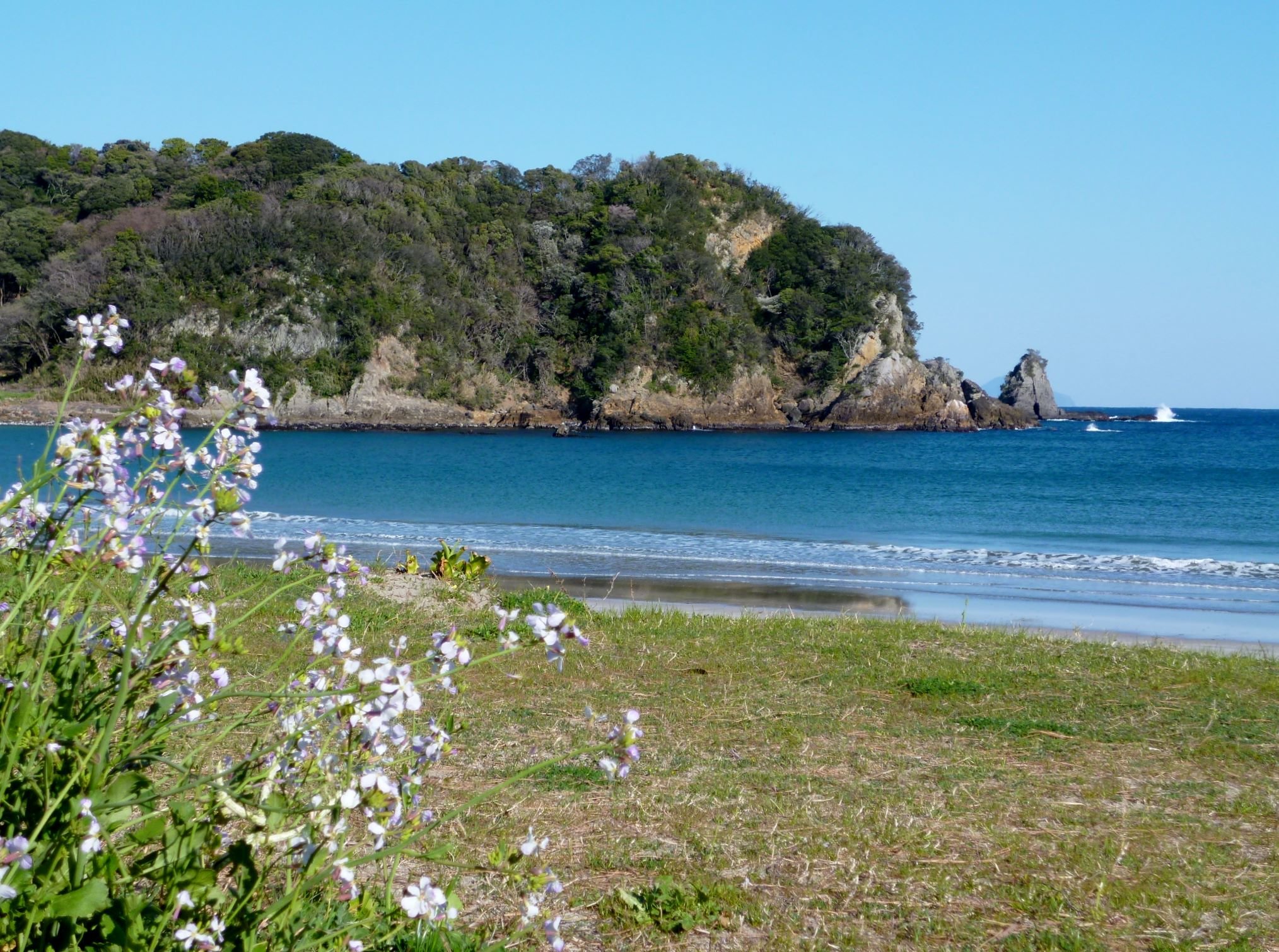 �t�ɉ��ȉԂ��炩����u�l�卪�v