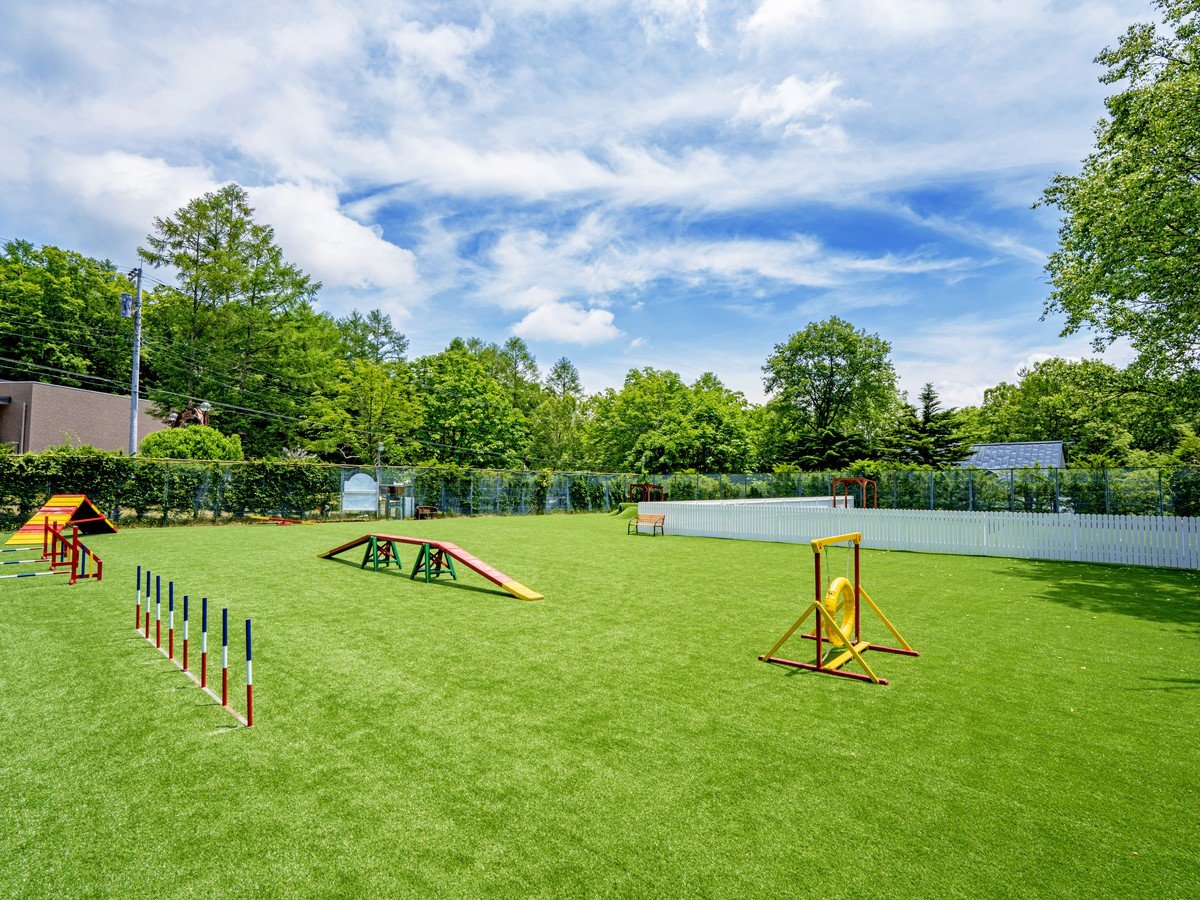 ^DGAV݂dog park
