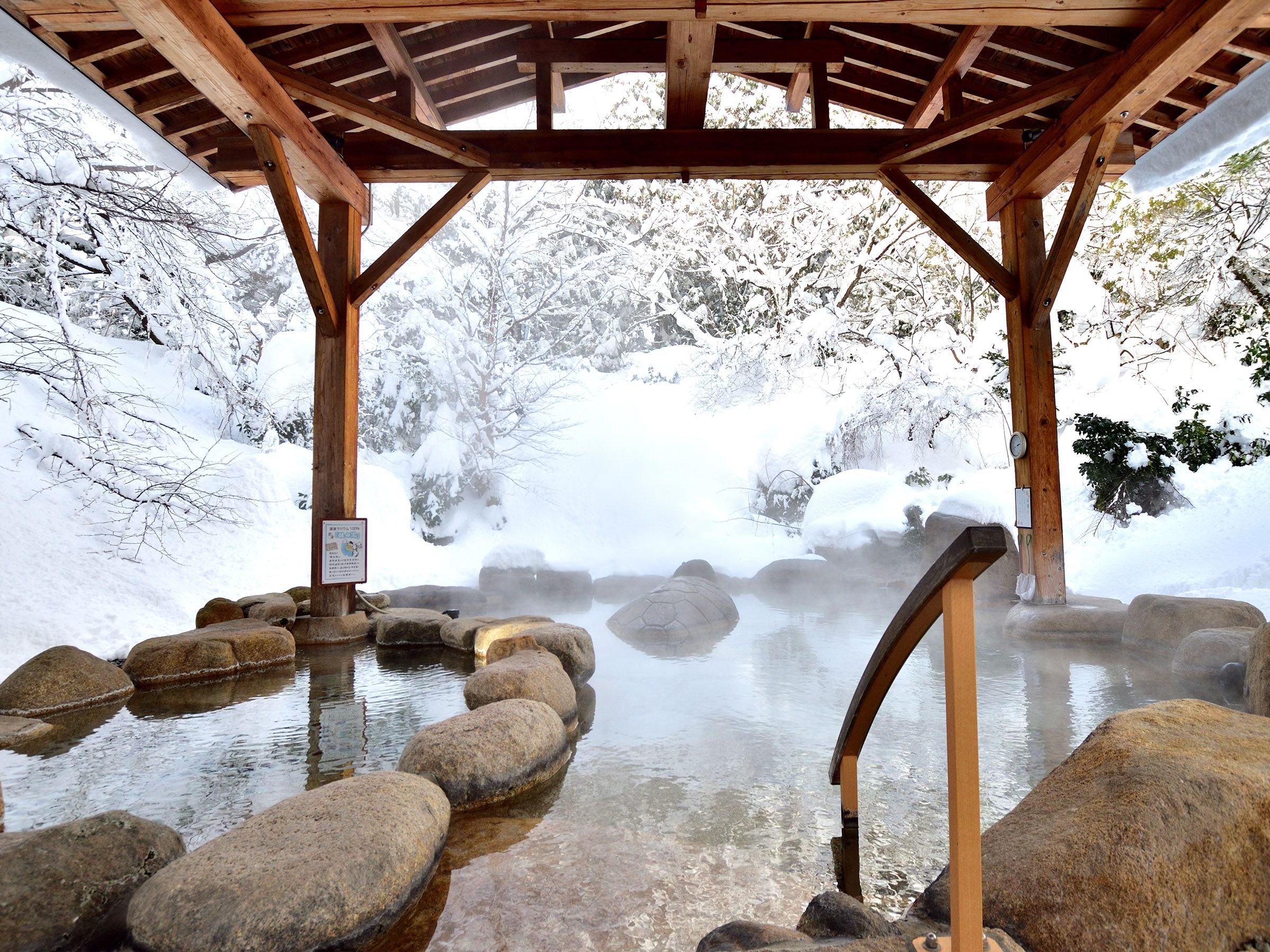 �y��I�V���C�@�~�z�ጩ�I�V���C�͓~�̑�햡