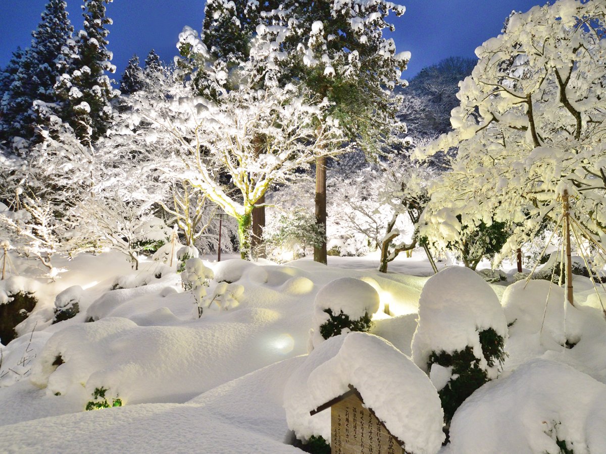 �y�뉀�@�~�z��̓��C�g�A�b�v����A���z�I�ȕ��͋C��