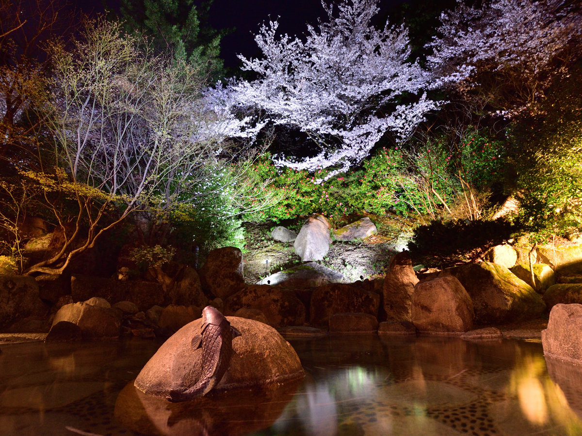 ������y���ޘI�V���C