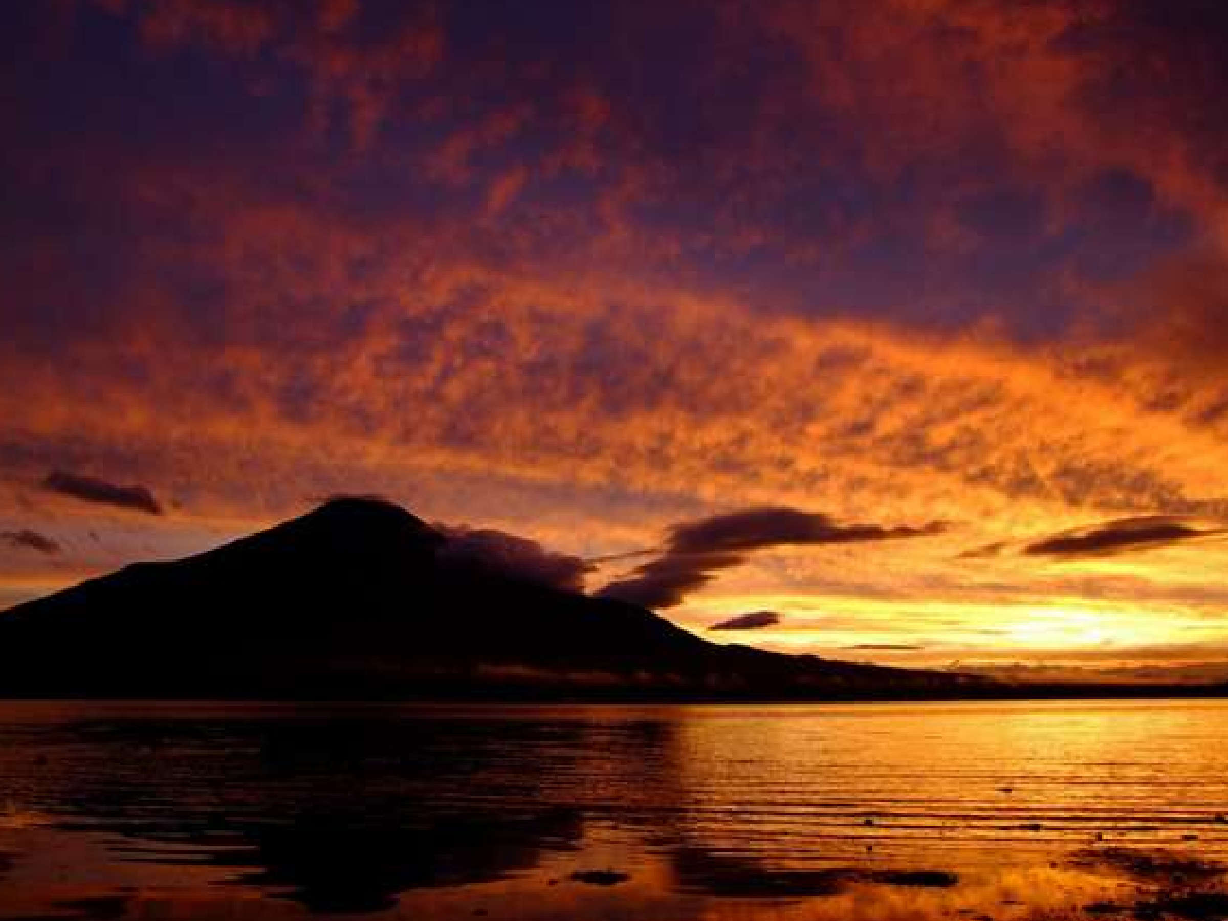 ���x�m�R�E�R���΃t�H�g�M�������[�z�@�u�[�Ă��v