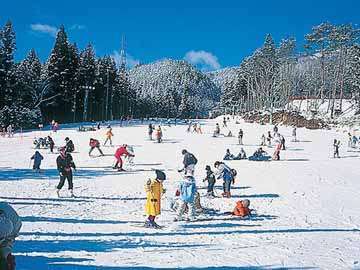 �y�~�G�z�Q�����f���ڂ̑O��i�C���[�W�j