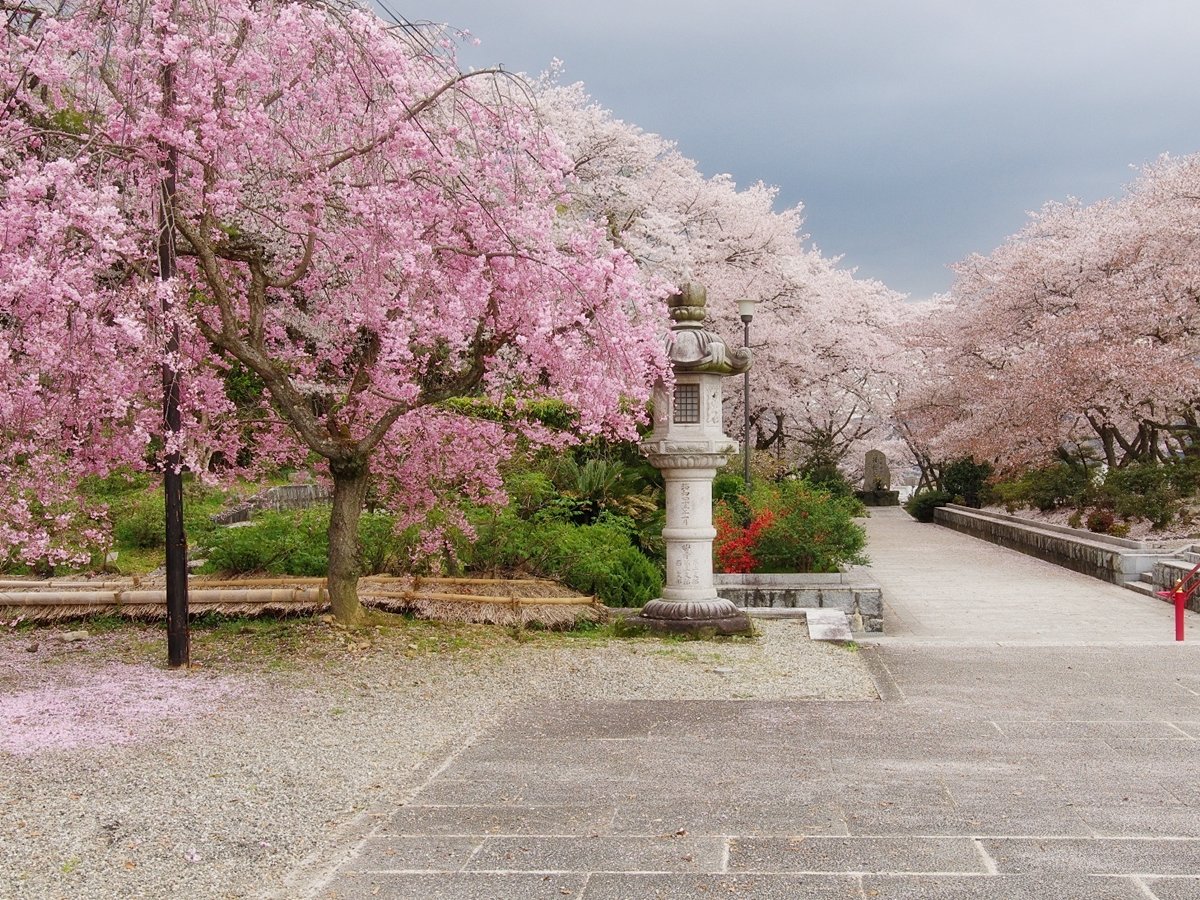 *�y4���z燓V�@��_�̍�