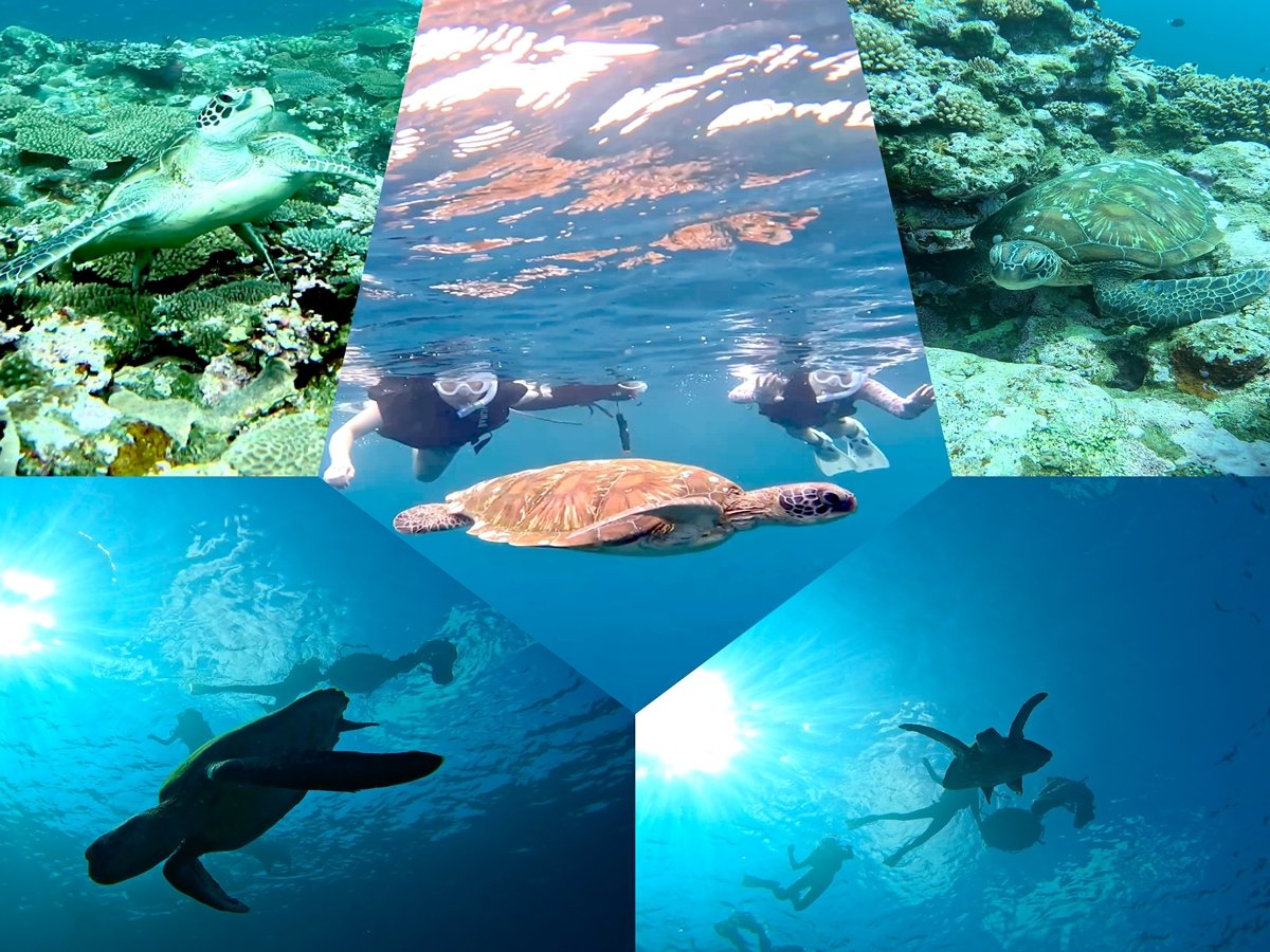 �݂�Ȃő厩�R�̖`���ɍs�����I�I�E�~�K���ƃ~���Ɖj�����I�I�k�������I�I