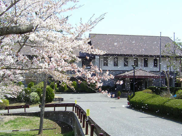 �q���q�������������Ȃ��炨�Ԍ��͂������ł����H