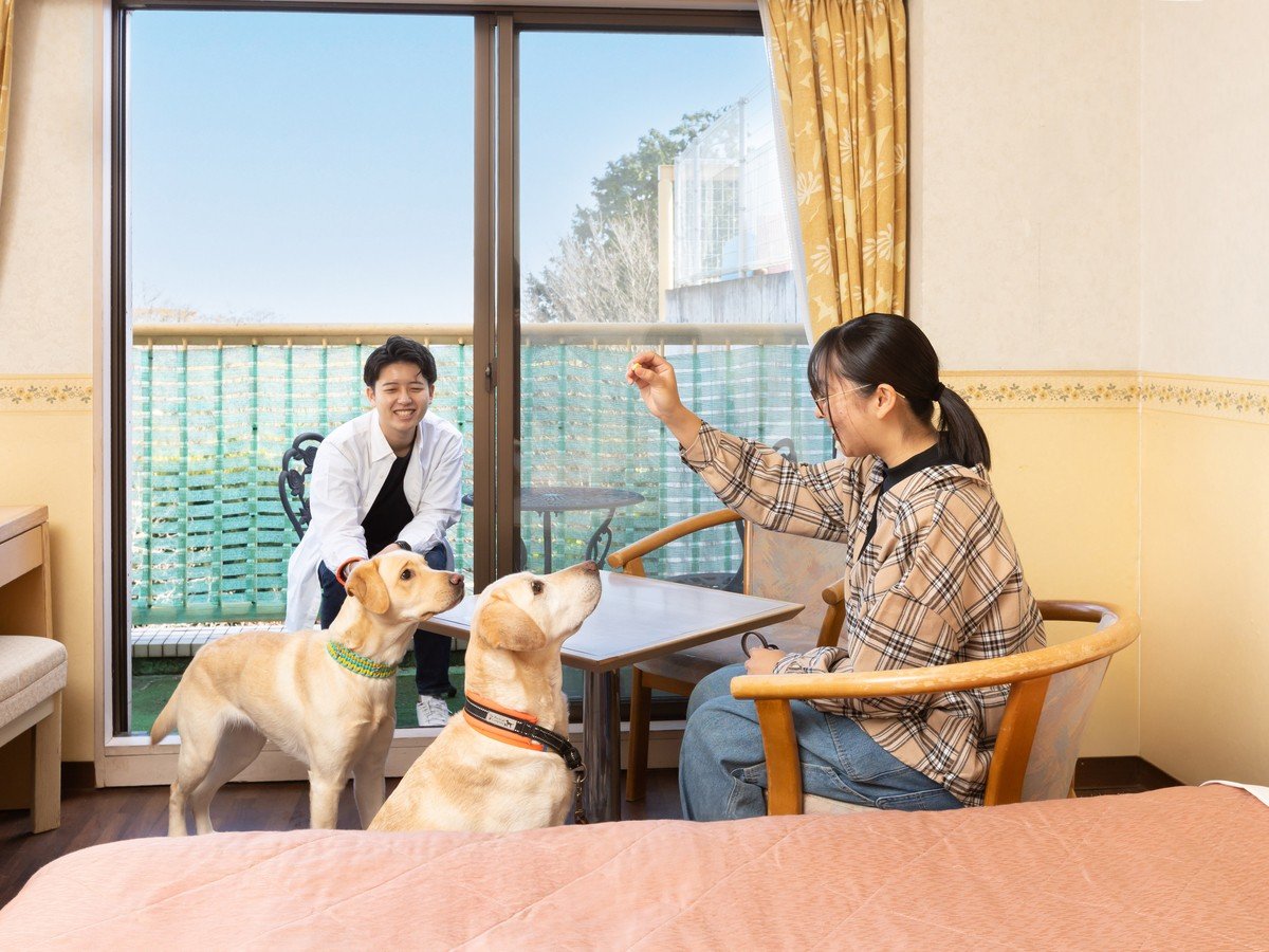 �y�h�b�O�t�����h���[���[���z�X�^���_�[�h�c�C��