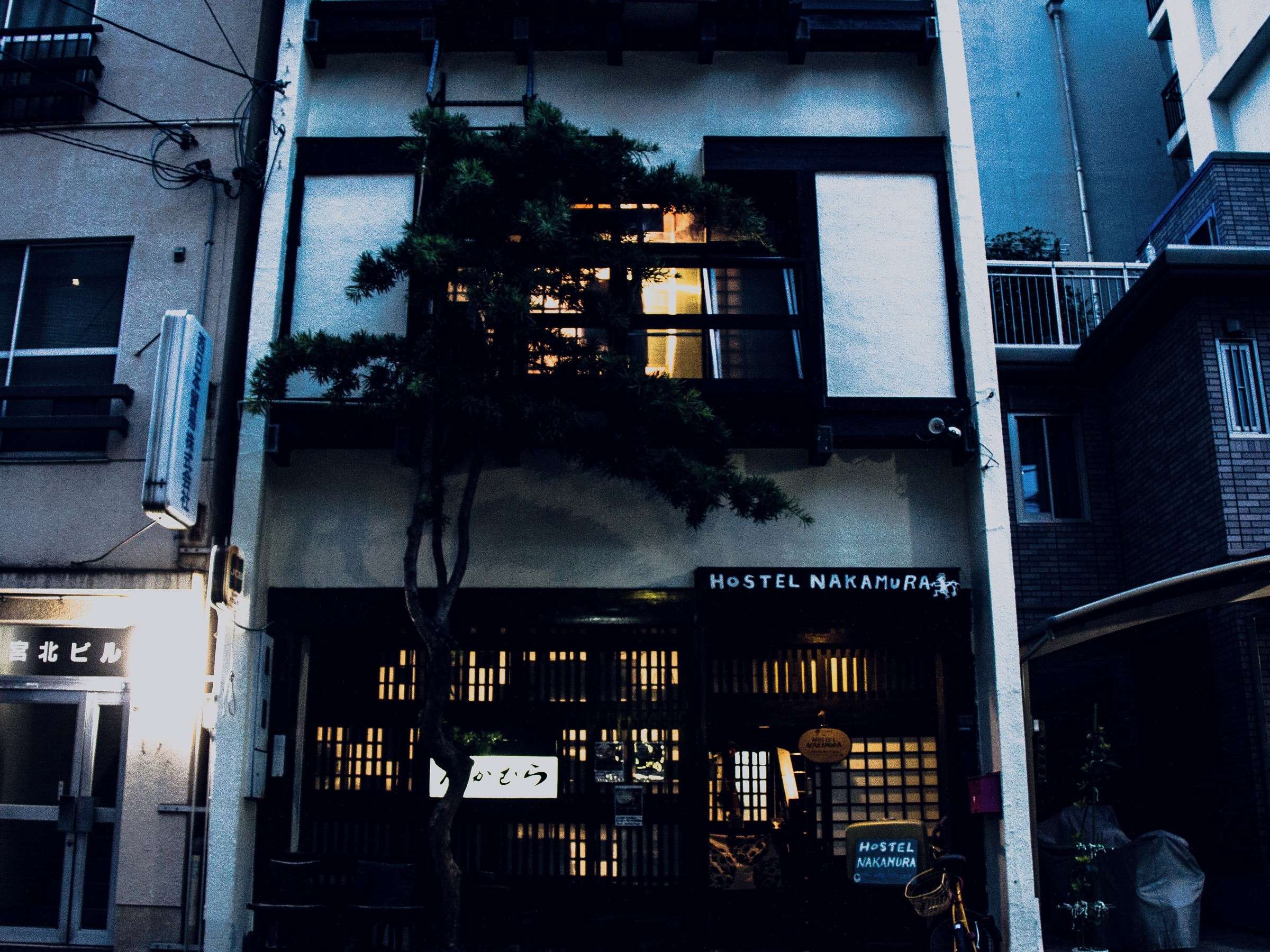 �z�X�e���̊O��