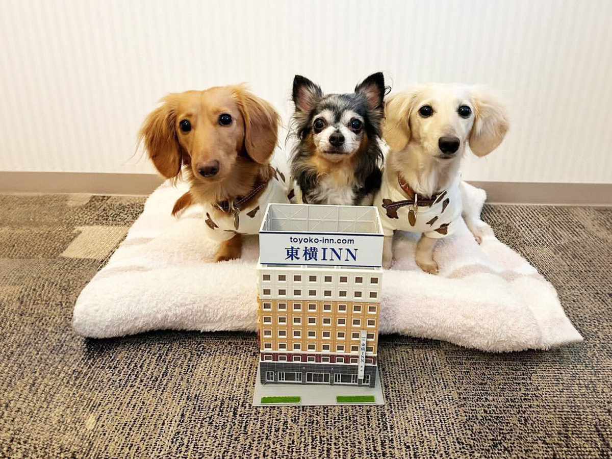 ���������ƈꏏ