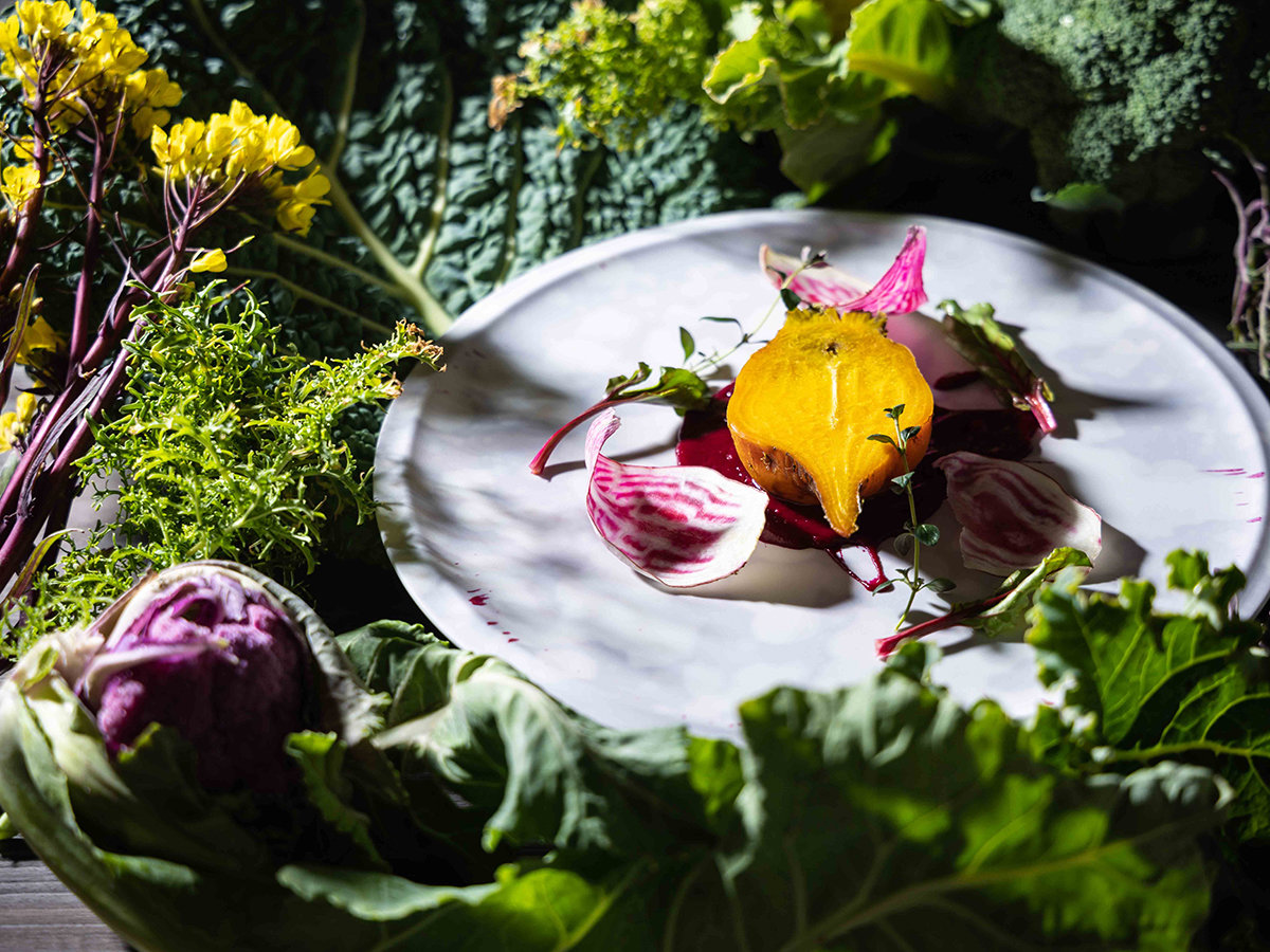 ��؂̗͋����ɉ����A����{�̌b�݂�g�ݍ��킹�A�����Ɣ����ɖ������ЂƎM��