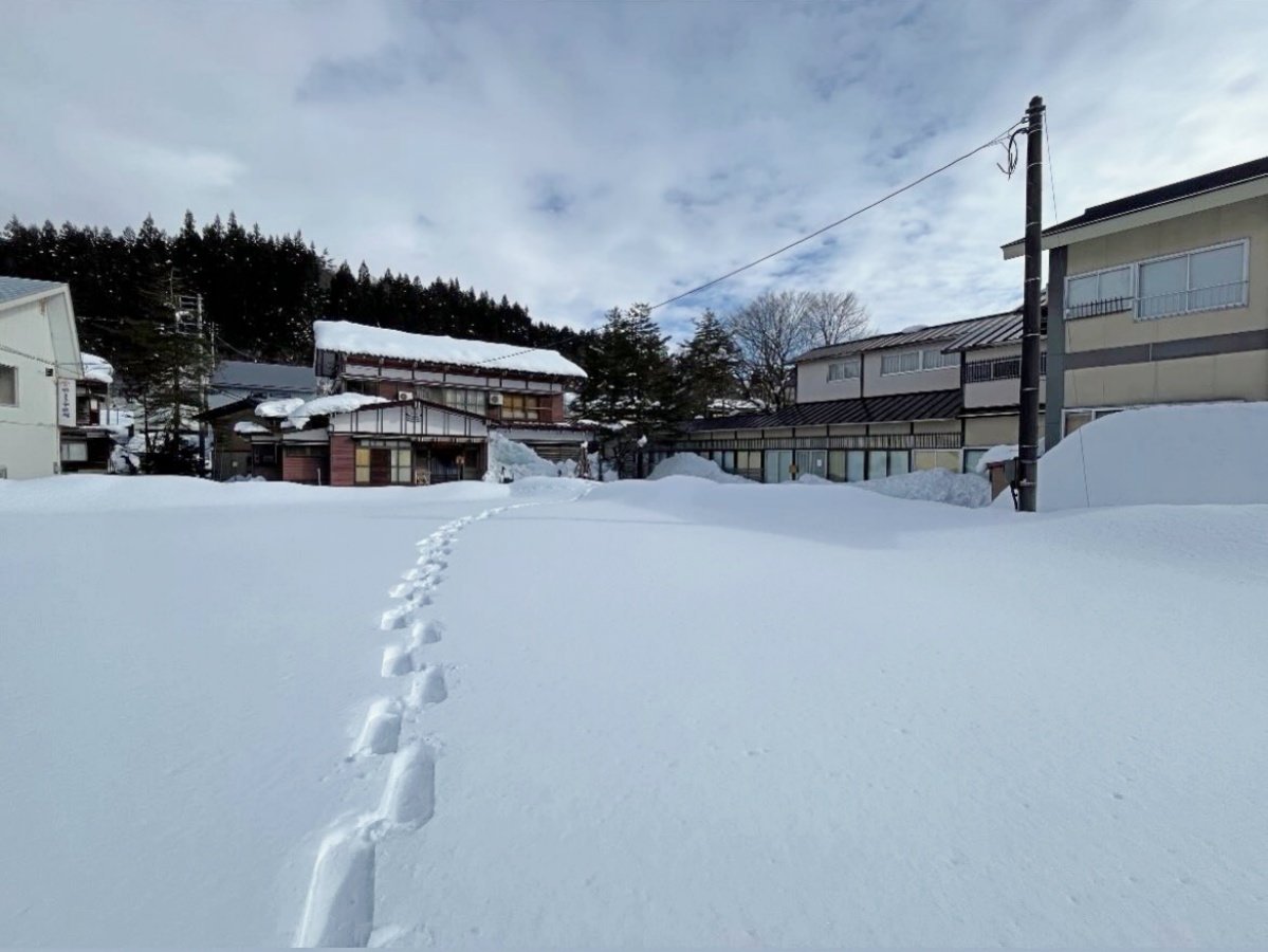 �h���Ӂi�~�̌i�F�j�^��i�F����ʂɍL����܂��B