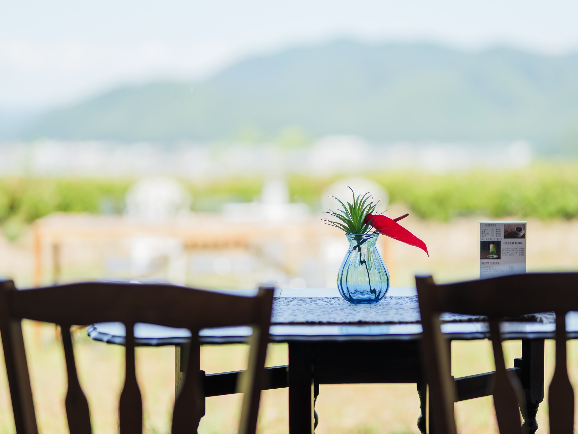 Cafe�@COLOMBO�ł̊��������y���݂��������B