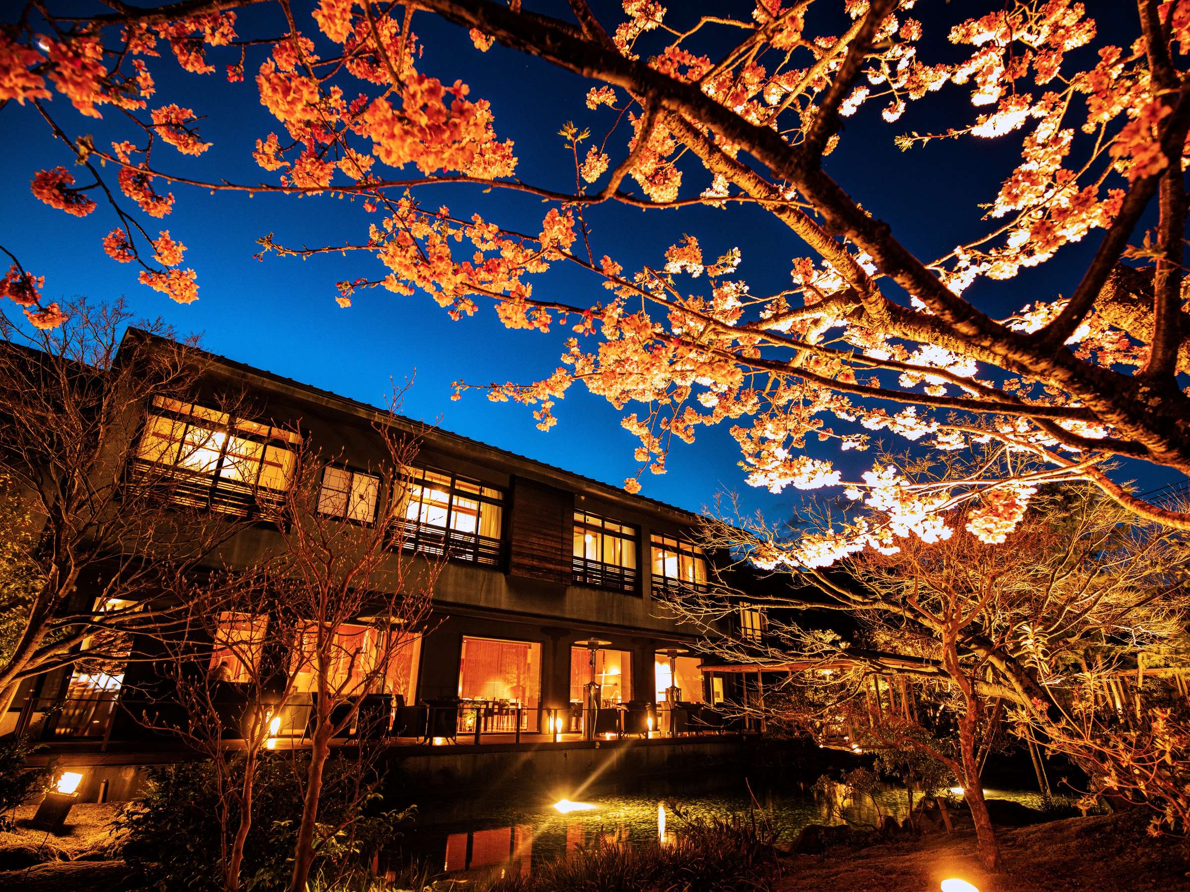 ��̖{�قƉ͒Í�