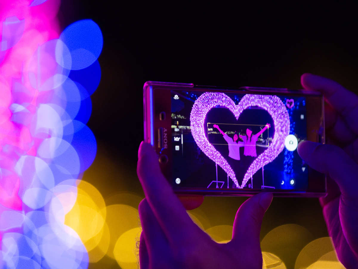 �y����䂵�h���[���t�@���^�W�[�z�J�Ê��ԁF2021�N11��1���`2022�N2���������摜�̓C���[�W�ƂȂ�܂��B