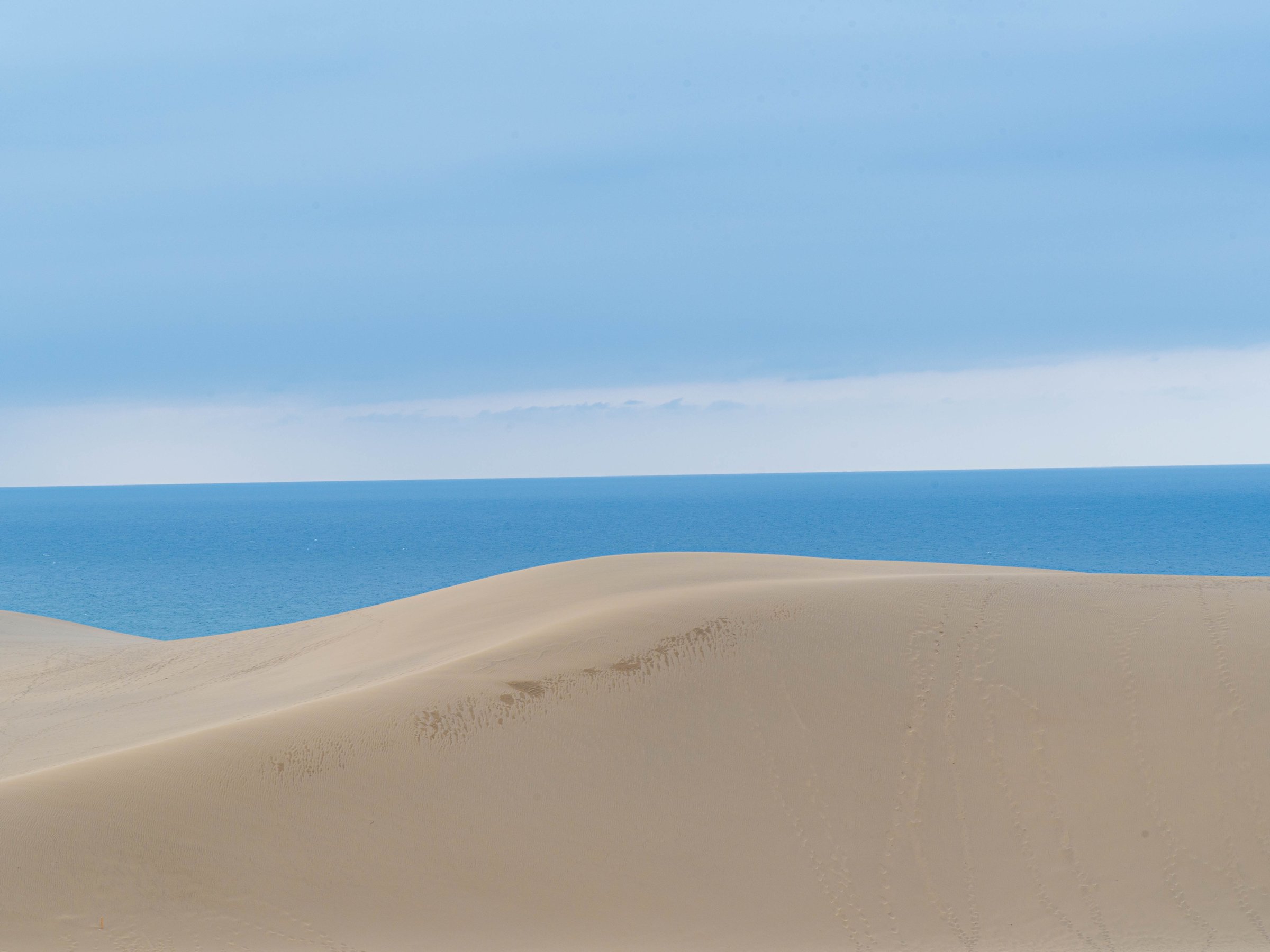 �y���捻�u�z�܂ł́A�o�X�܂��͎ԂŖ�Q�O��