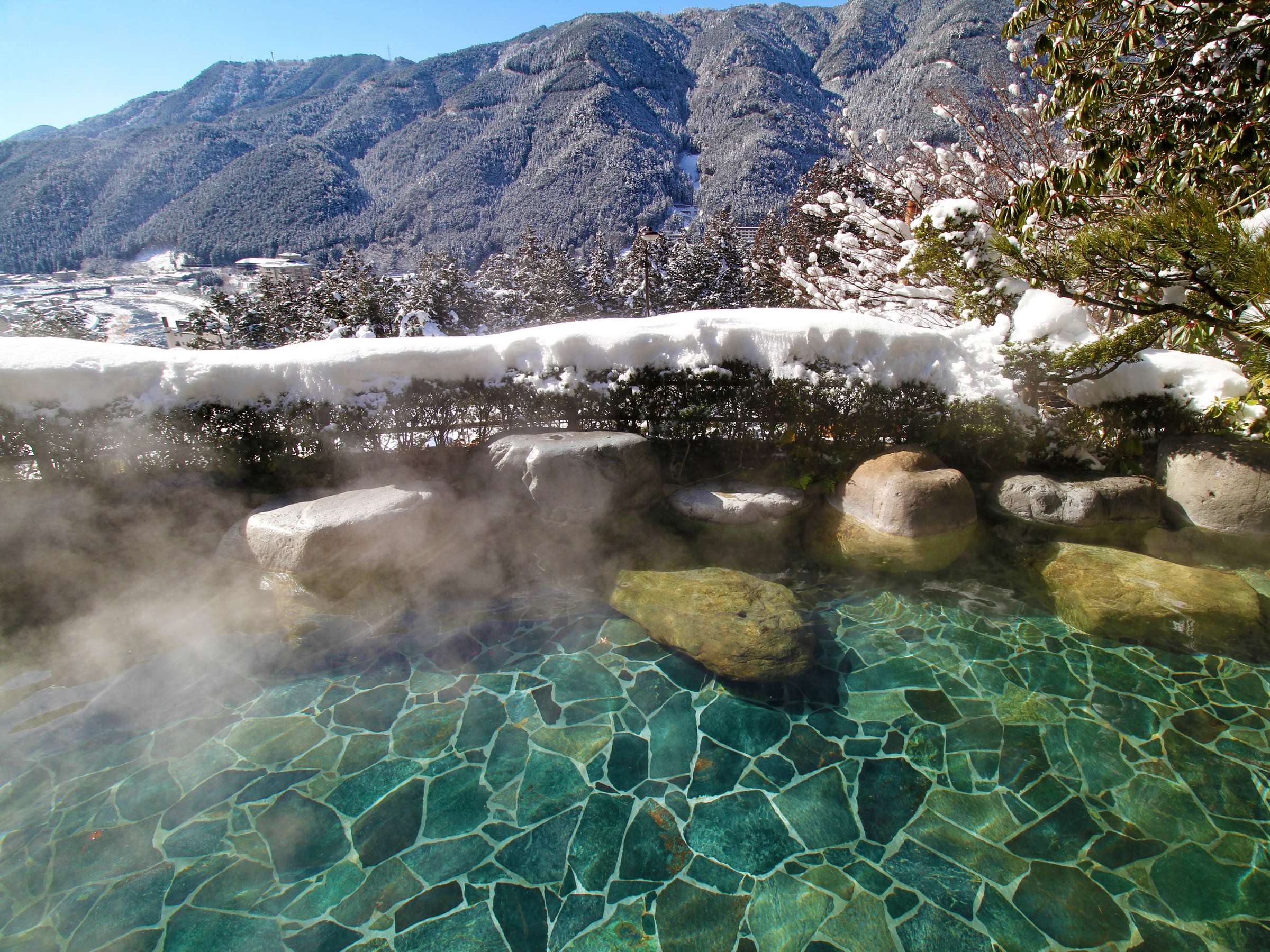 �~�̘I�V���C�u�R�k�V���v