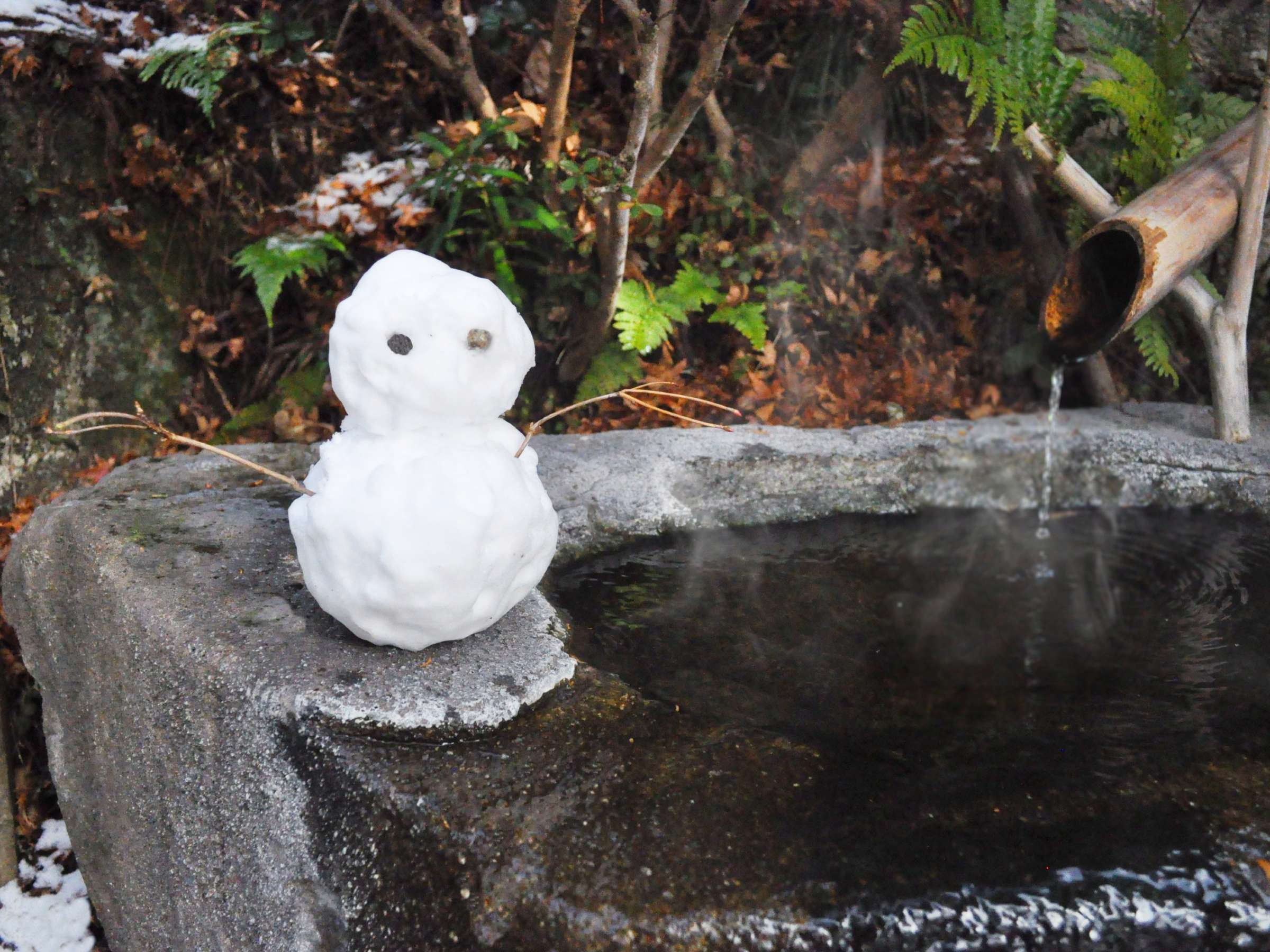 ���V���ف@�~