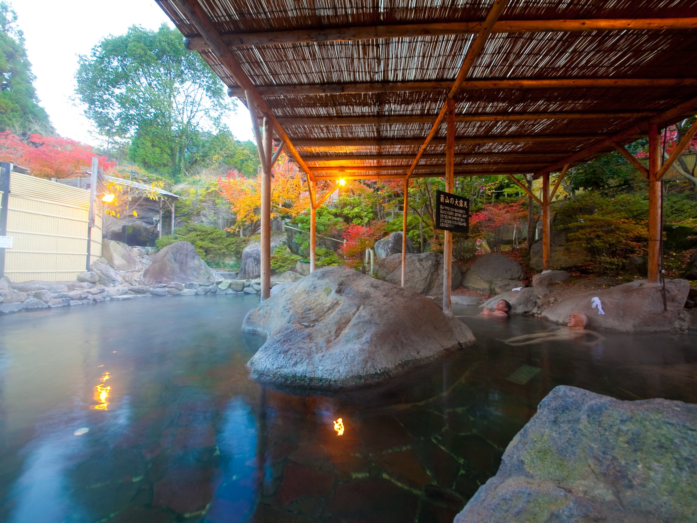 �j���v�X��ނ̘I�V���C�ɓ����嗁��A�ݐؕ��C�Ɖ����S�䂭�܂Ł�