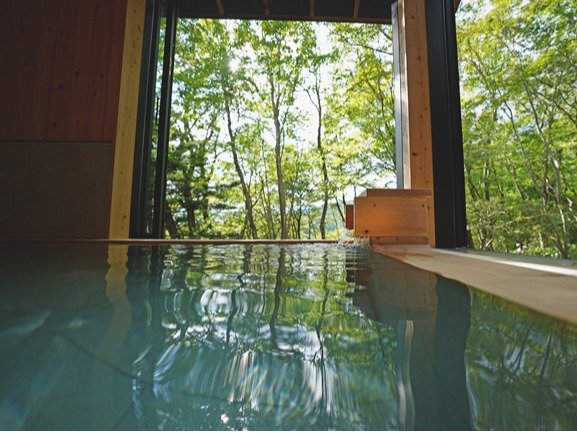 ���C�A���I�X