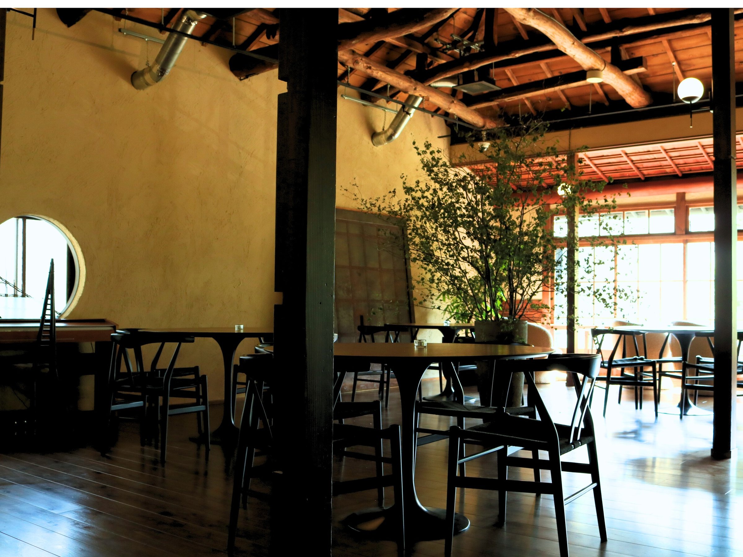 2�K���E���W�G���A