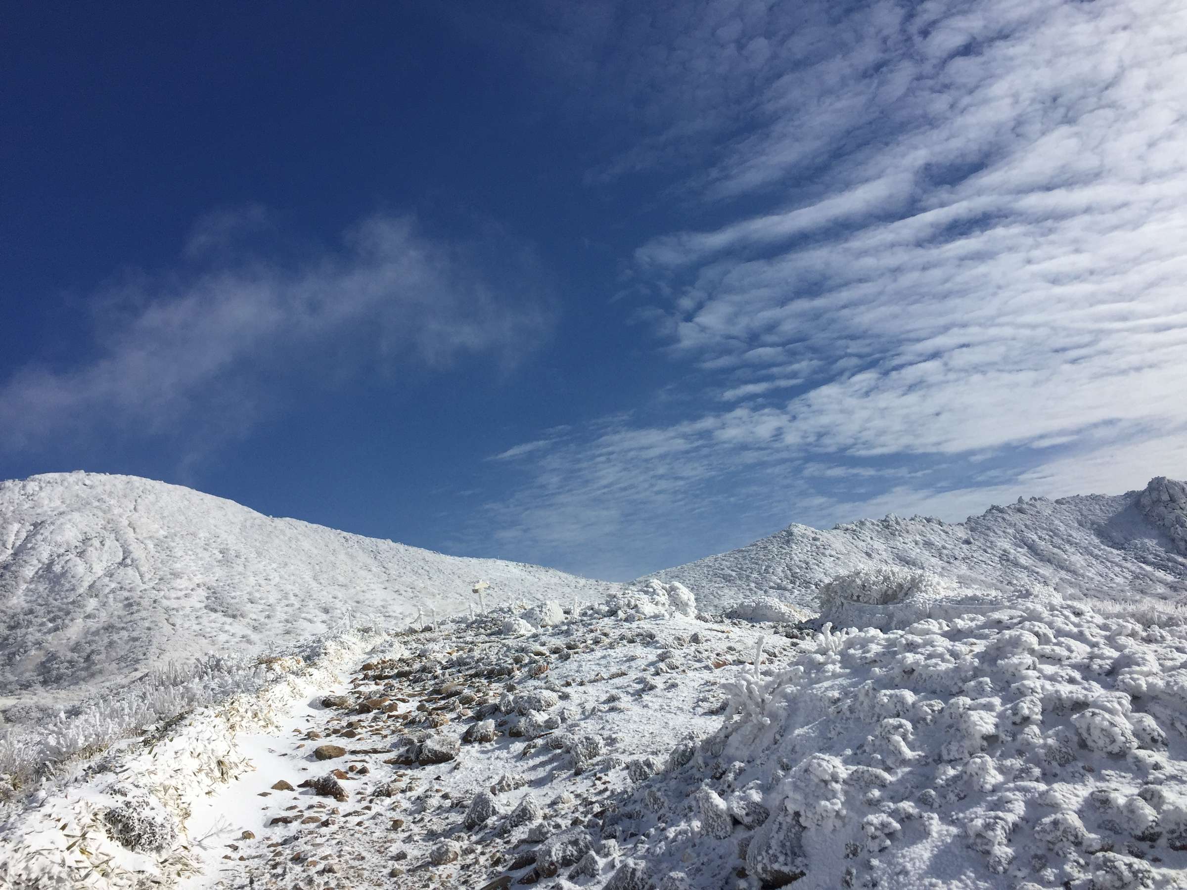 ��R�o�R���~�̑�햡