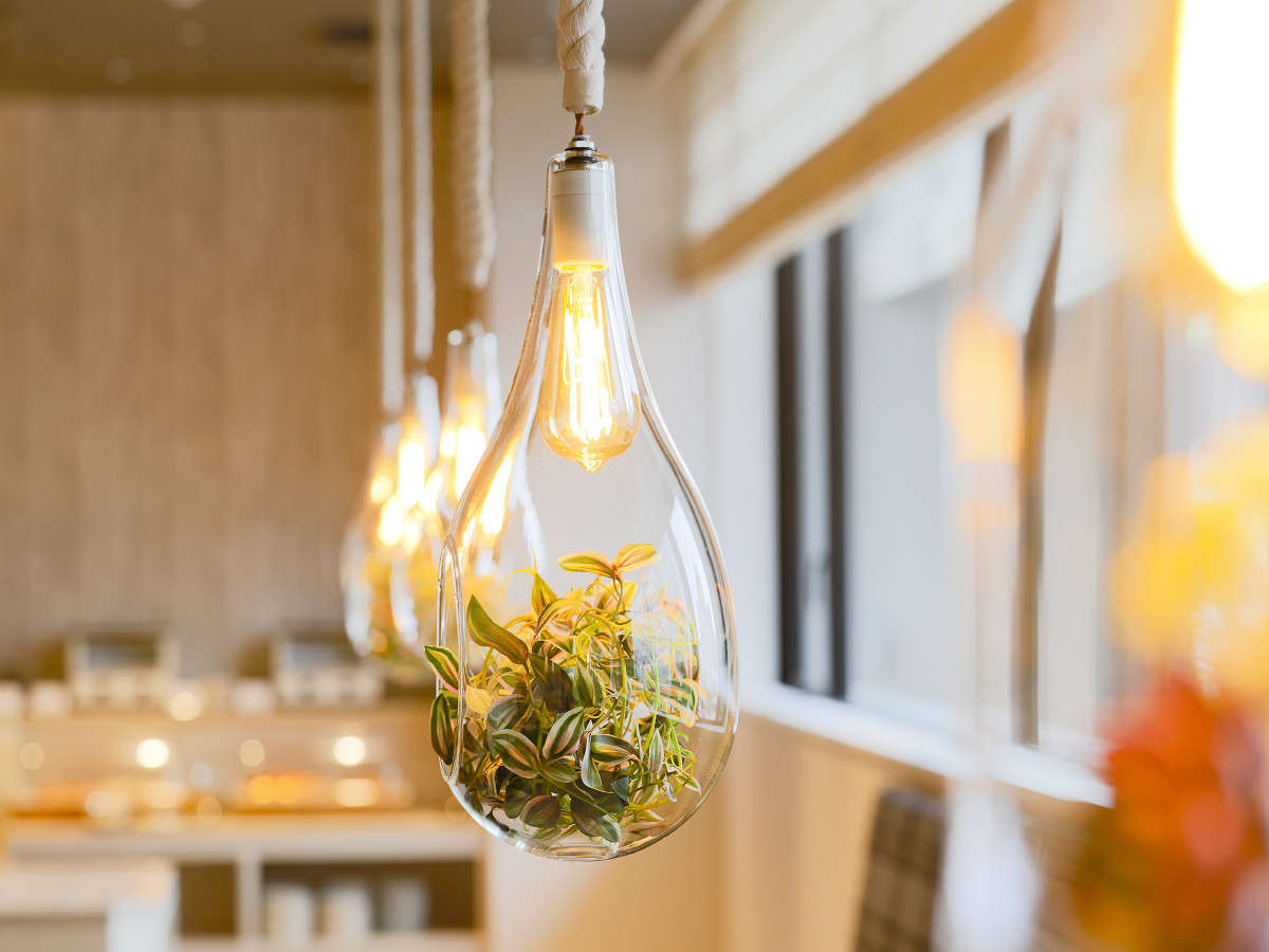 �y���X�g�����z���邭�J���I�ȃ��X�g�����́A�k���̋�C������������f�U�C����