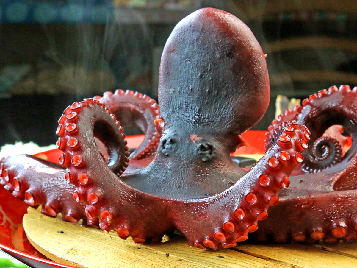 �y���H���z�L�x�ȏ�����L���a�ɂ��Ă�^�R�͊��݉������Q