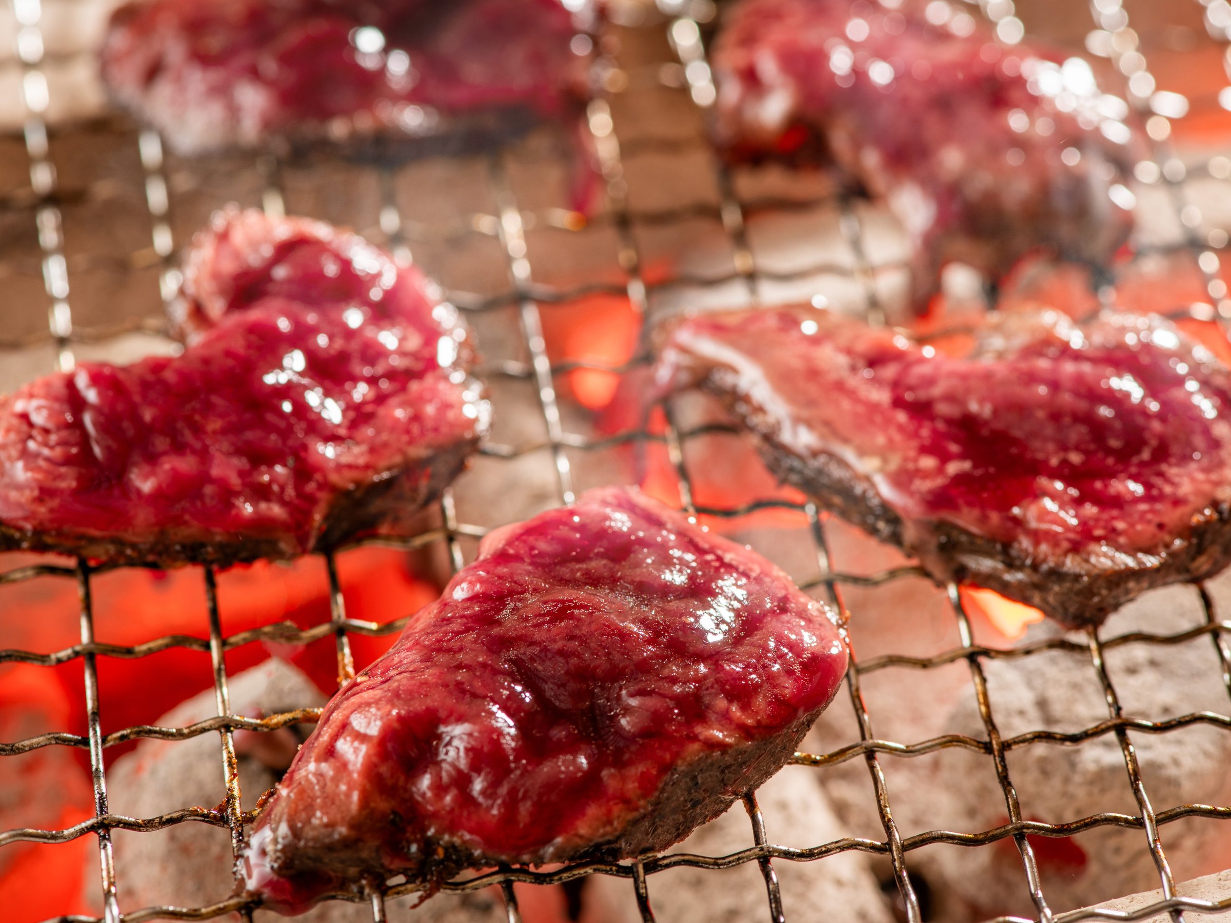 �t���j���[�@�����̒Y�ΏĂ�