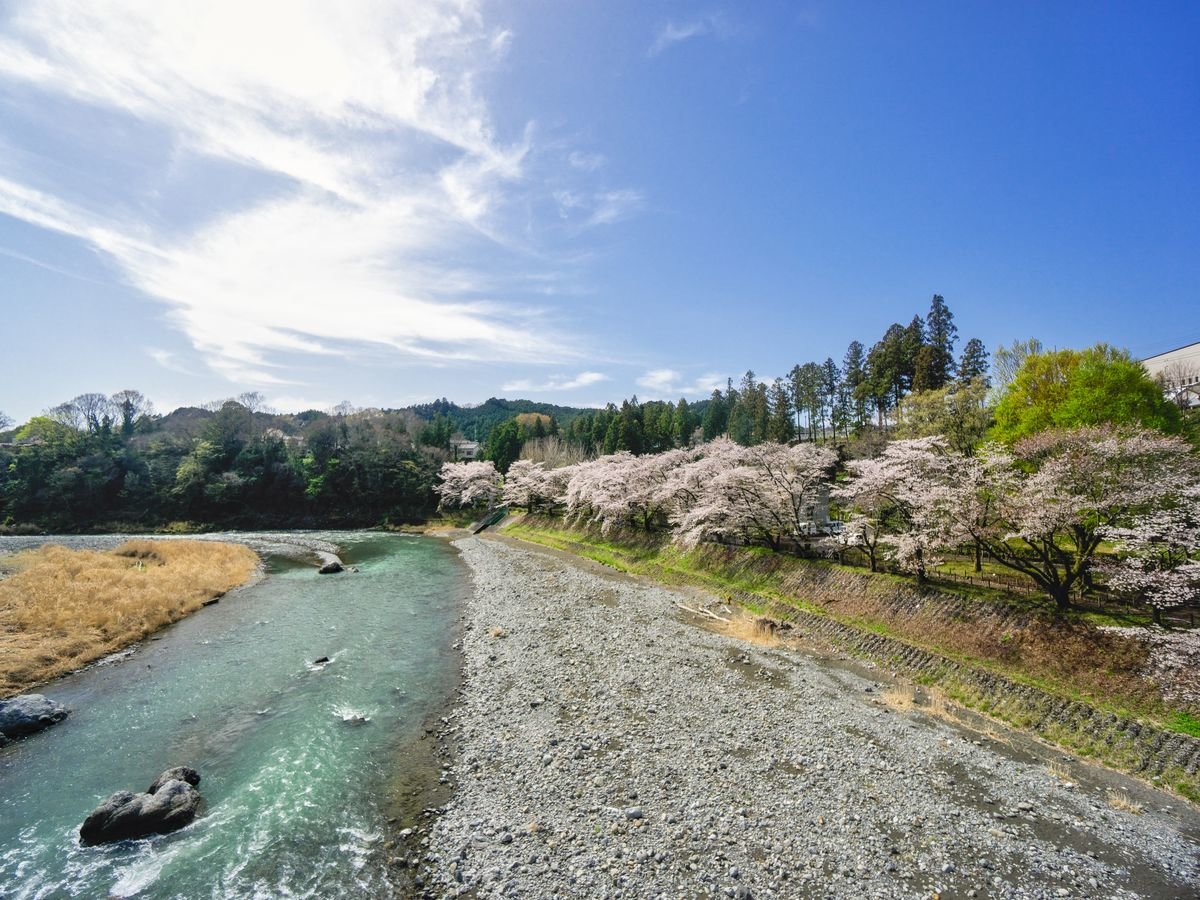 ��N3�����{����4����{�ɑ����쉈���̍����؂��y���߂܂��B�z�e������k����1���i�����z�e���ڂ̑O�j