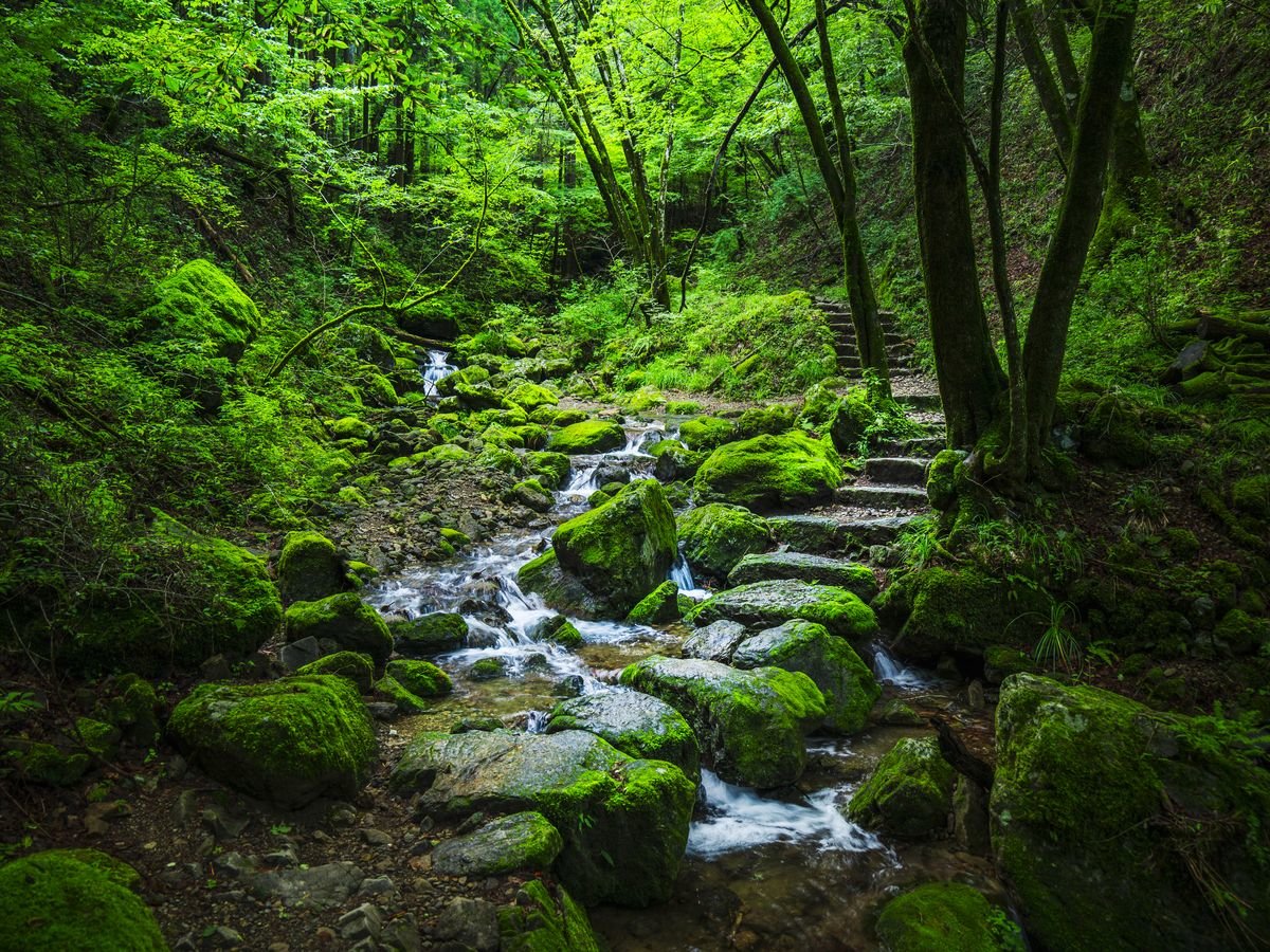 �y���b�N�K�[�f���z����̑ꂩ�爻�L�̑�܂Ŗ�1.5km�����A���̎U���H�B