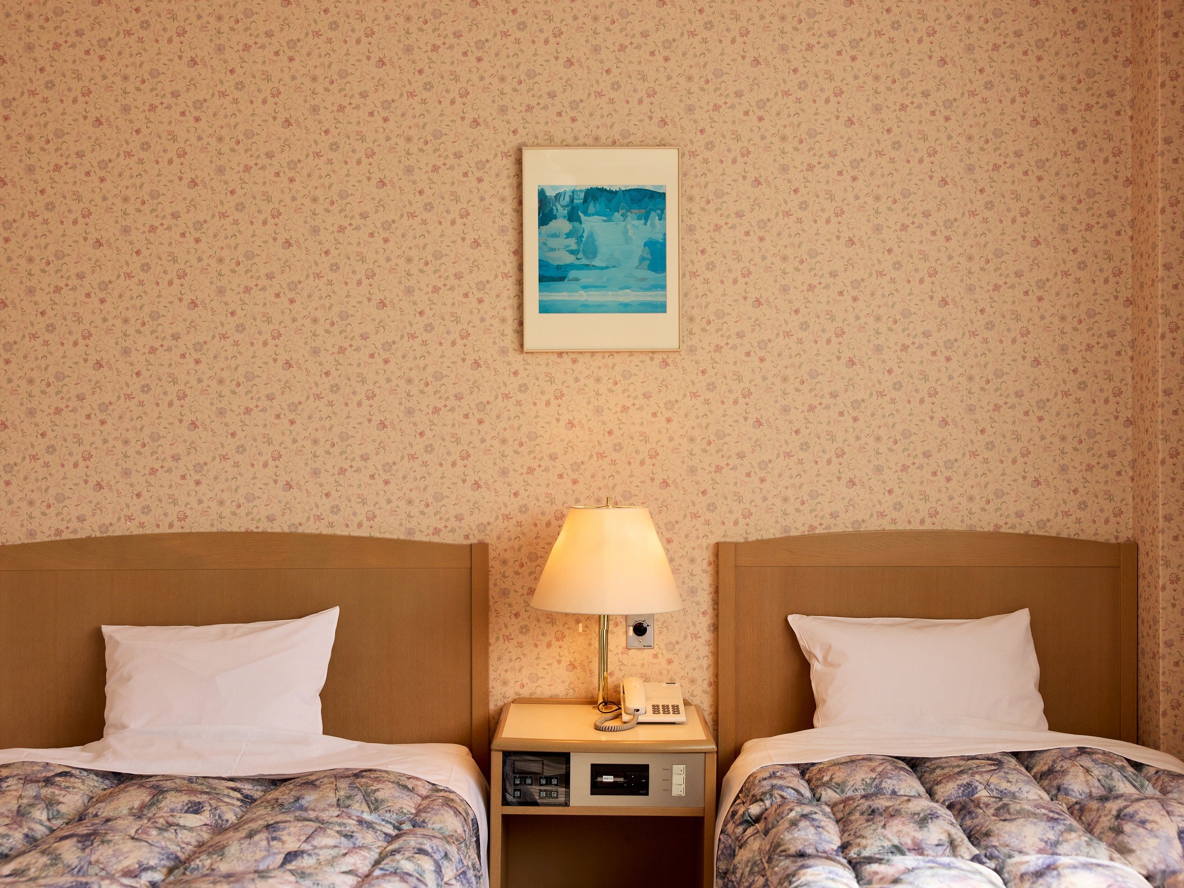 ̃^Cv͂܂܁Bɂ͉炵ǎ̂܂B