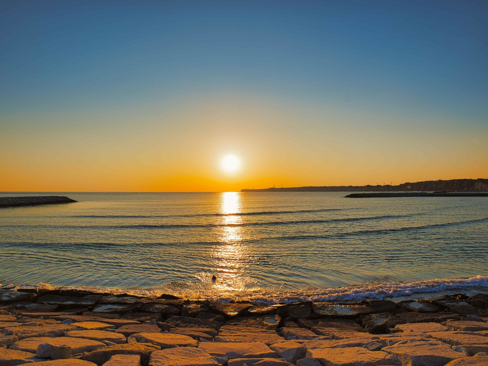 [YC݁@^fX|bg@ɒޗ[݂B