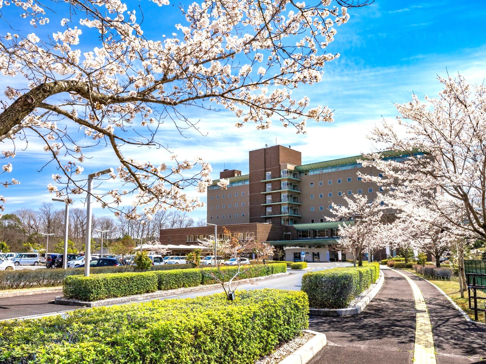 ���ԏ�̍��ƊO��