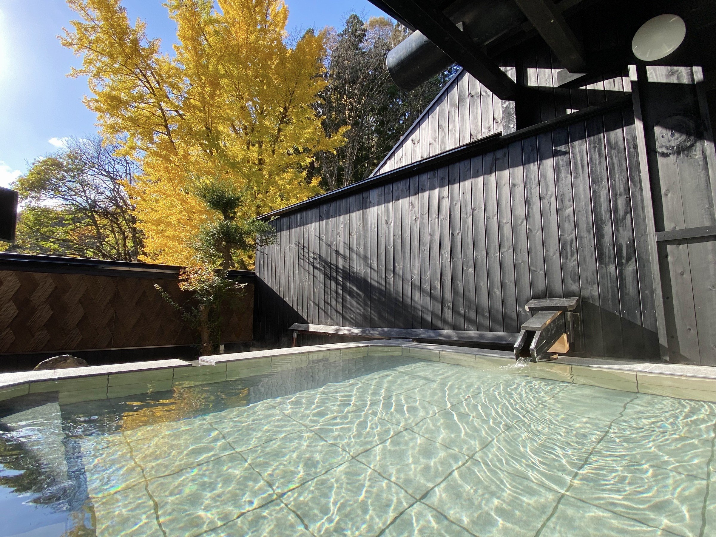 G߂̉ԁX⏬̂AԌgty߂IVC