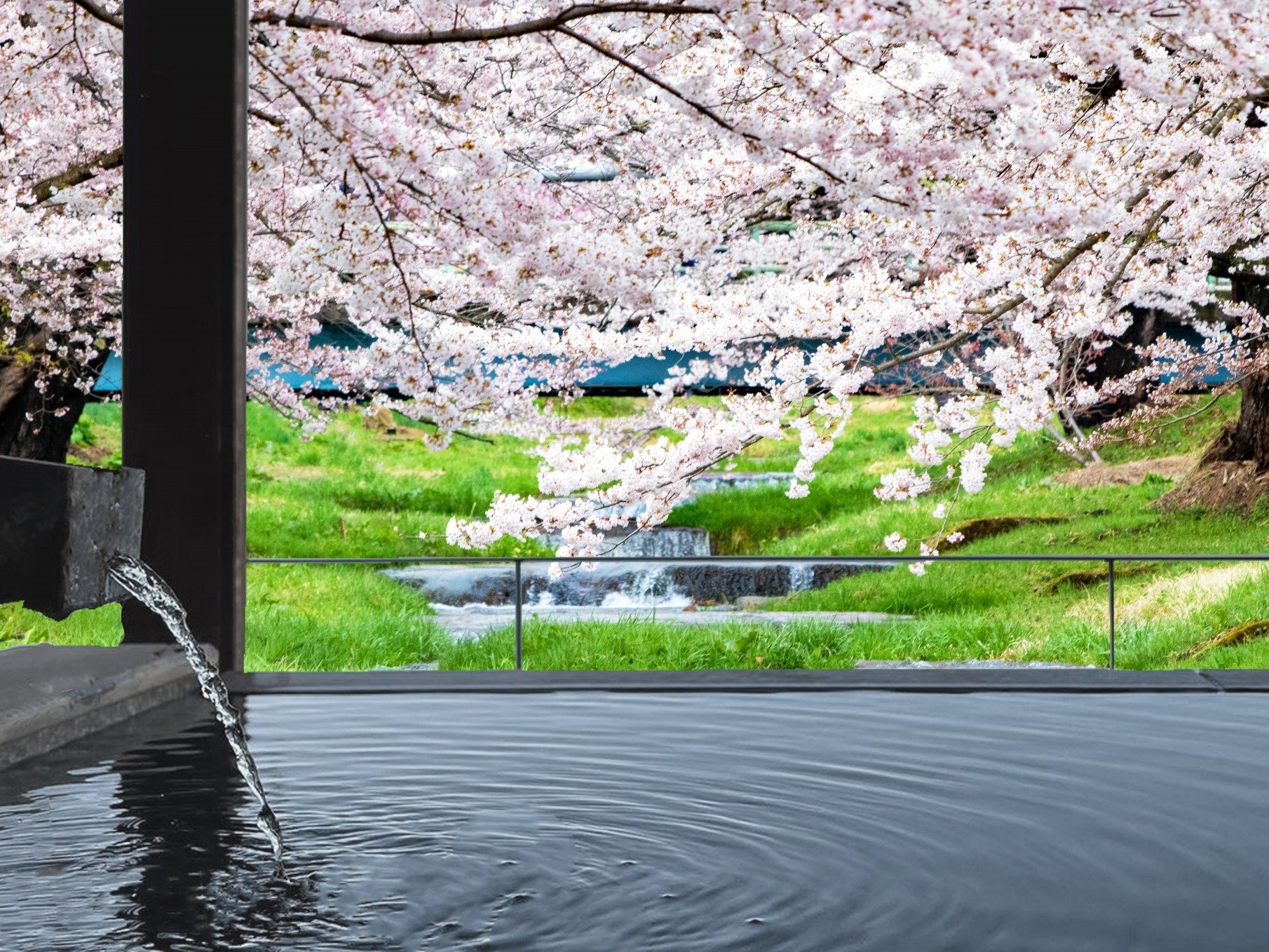 �I�V���C���犴����t�̖K��