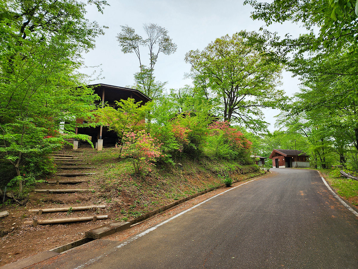 #G߂ōʂ鑐Ԃ炭~n͒̎UIXX