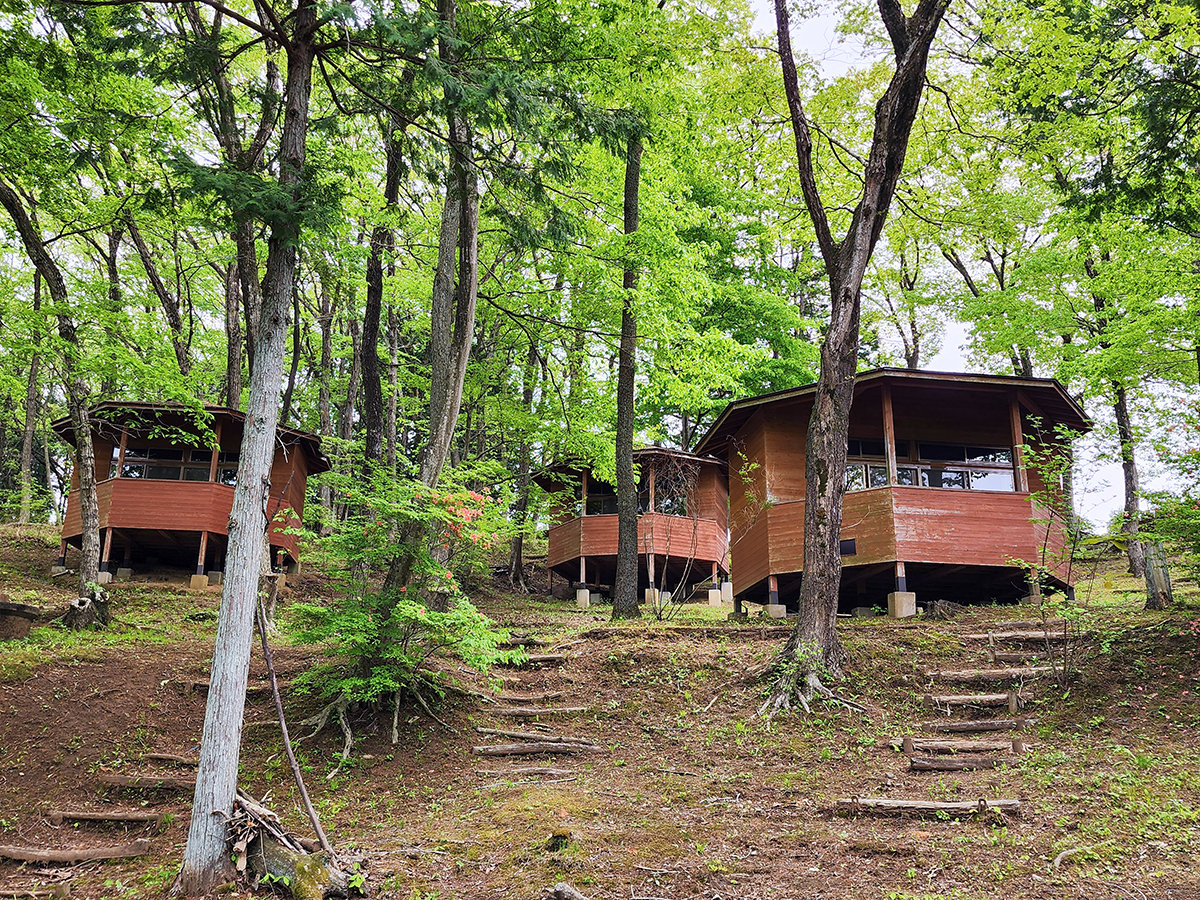 #���p�^�C�v�@���̖����Ŗڊo�߂鐴�X���������}���Ă݂ẮH