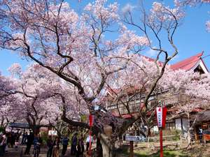 �����߂��̏h�͒c�̂ł����ς��ł��~�X�e�B����Ȃ�\���Ɋy���߂鋗���ł�