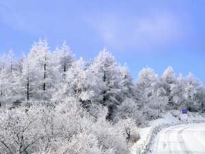 �r�[�i�X���C�������Ă��C���ɂȂ��Ă��܂��B