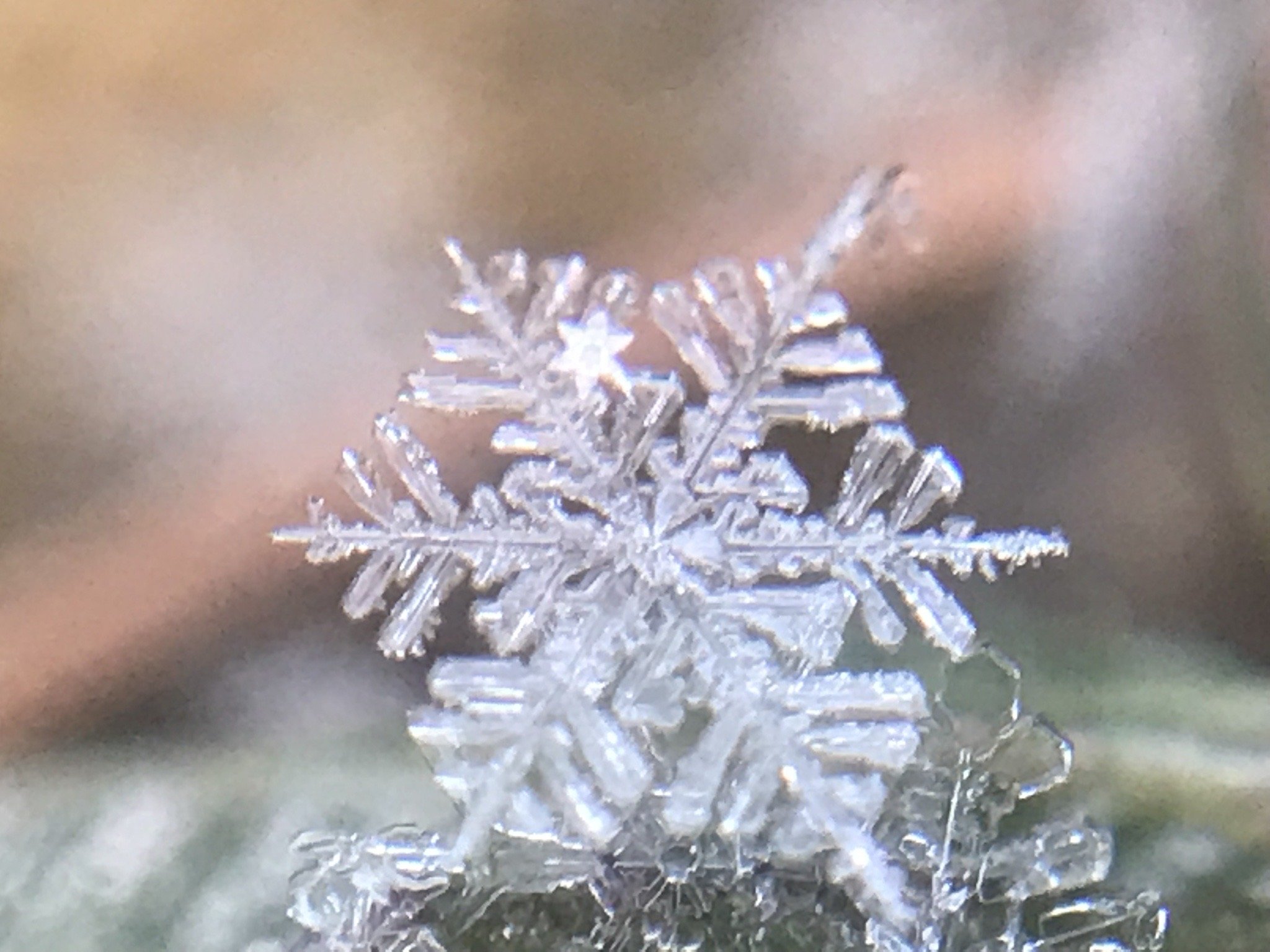 ���t�͂܂�Ő�̌���〜�􂱂�Ȕ�������̌����������~���ԎR�����ł��I