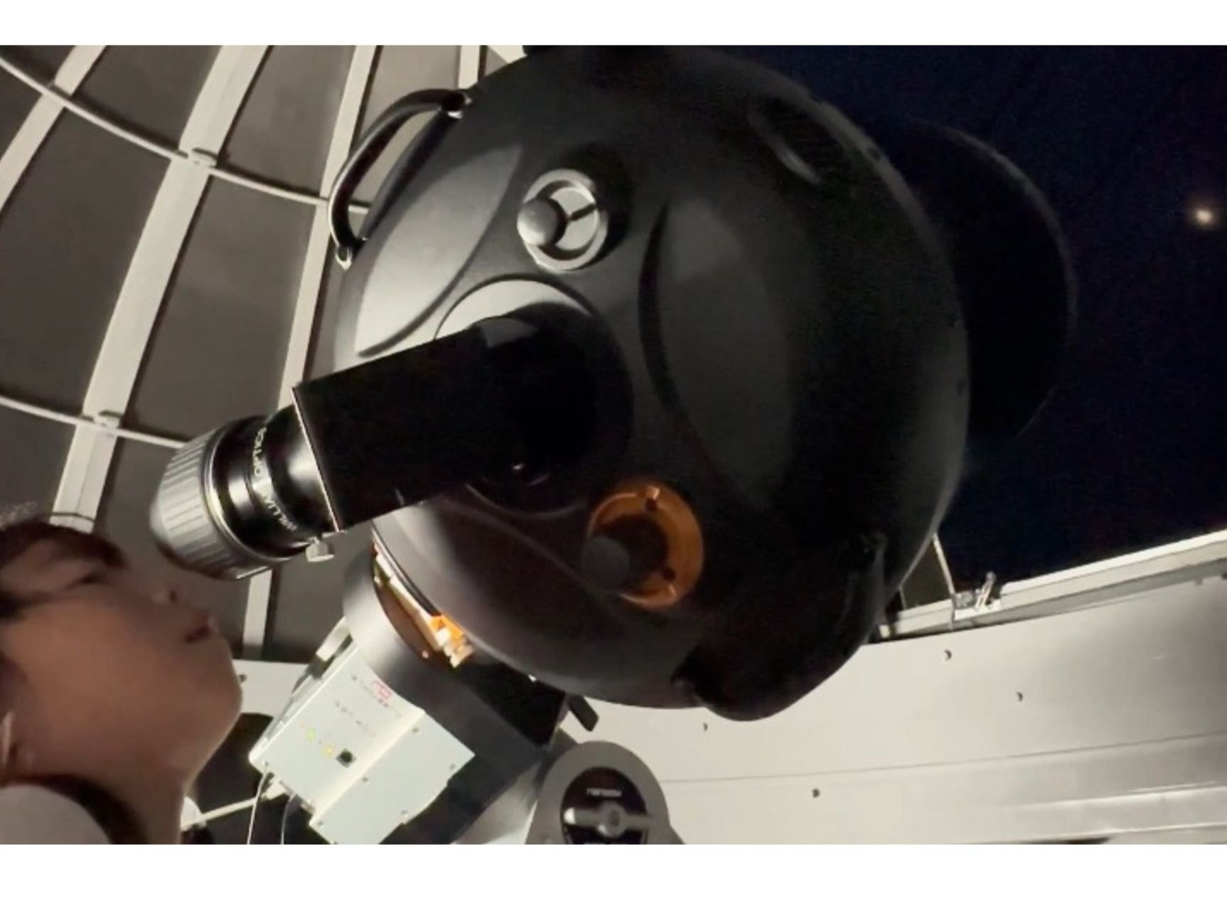 �V�̊ϑ��̗l�q