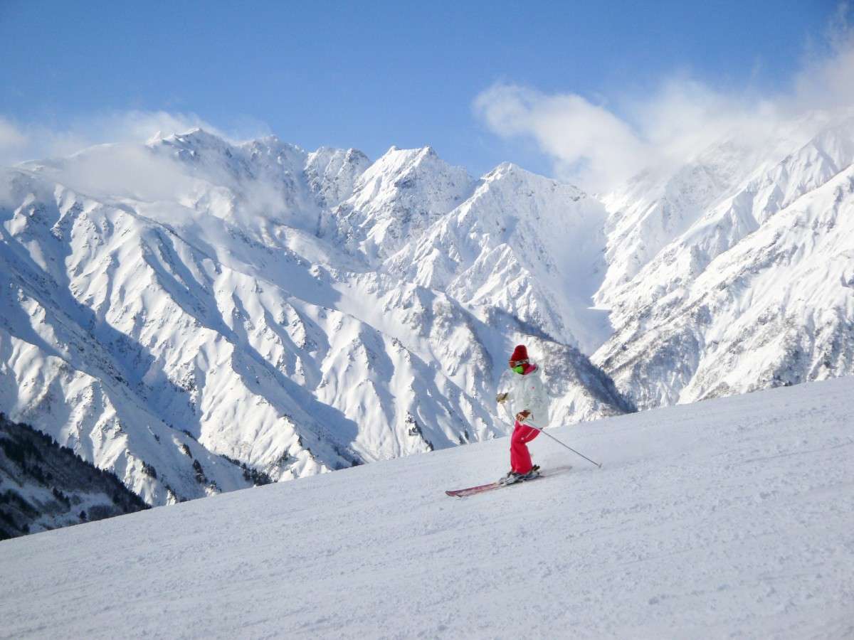 *[ňiFE~]YȖkAvX̐iobNɋCu