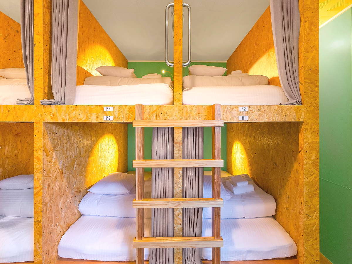 �j�����p�h�~�g���[ (8������)