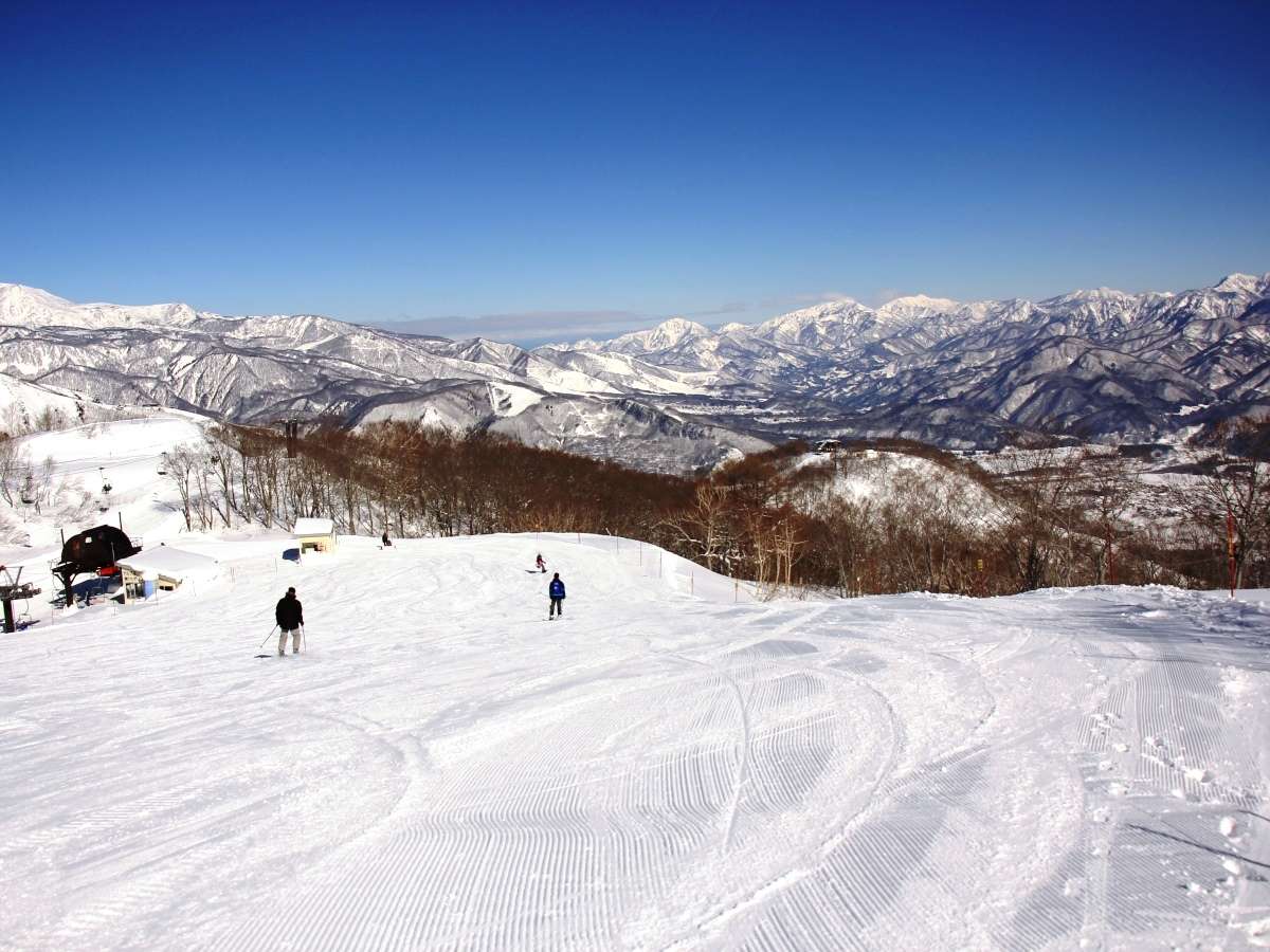 ���n�ܗ��X�L�[��𖞋i�I